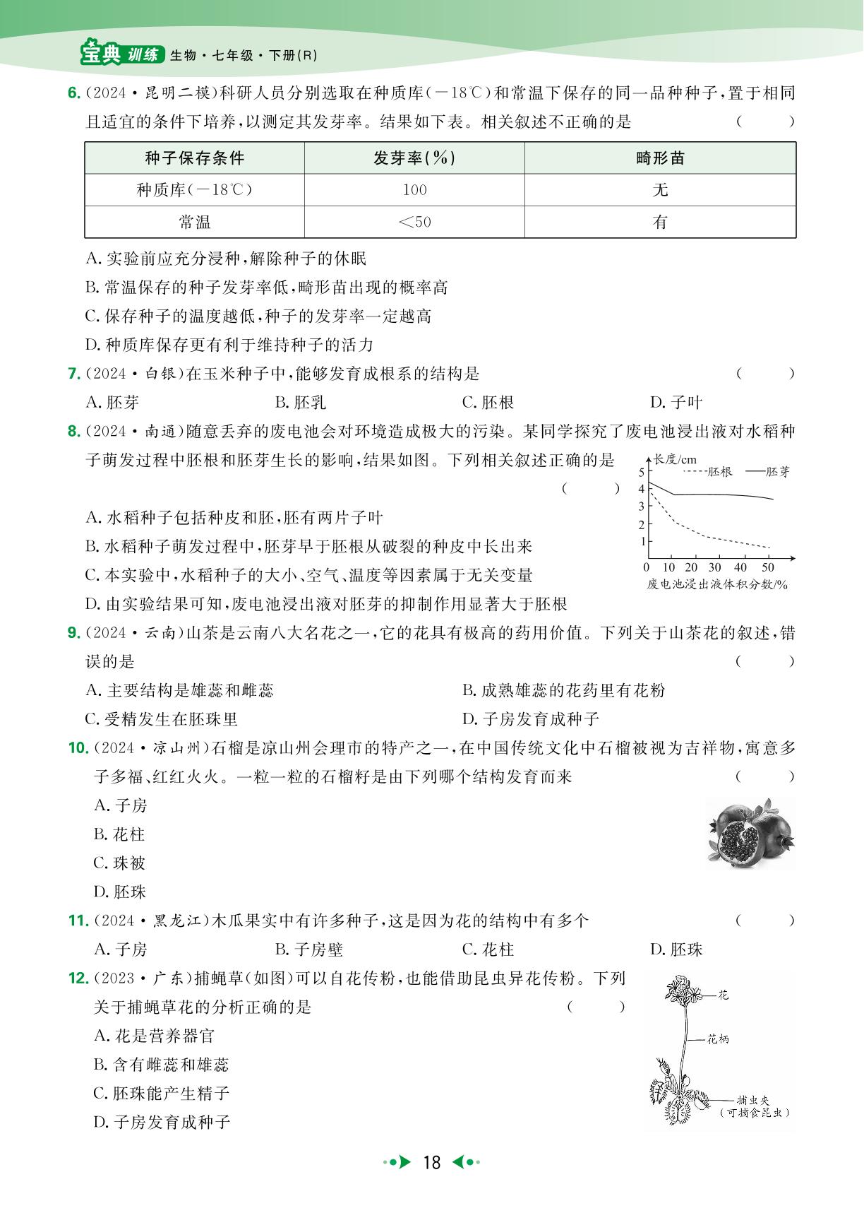 3.1 被子植物的一生 强化提升-【宝典训练】2024-2025学年新教材七年级下册生物高效课堂（人教版2024）