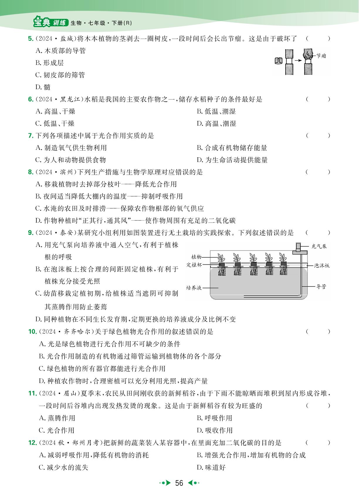 3.2 植物体内的物质与能量变化 强化提升-【宝典训练】2024-2025学年新教材七年级下册生物高效课堂（人教版2024）