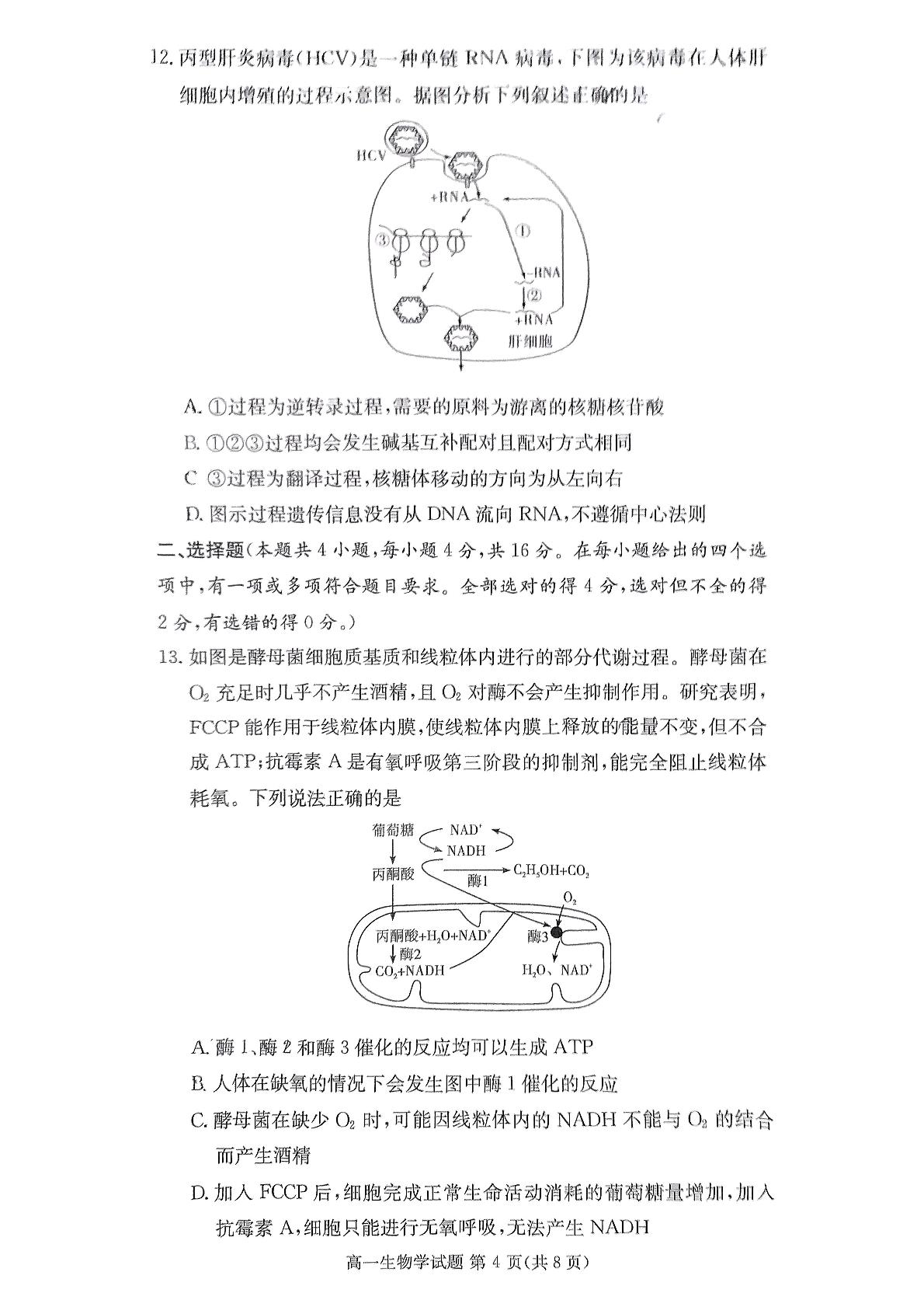 湖南省长沙市长郡中学2024-2025学年高一下学期5月期中生物试题