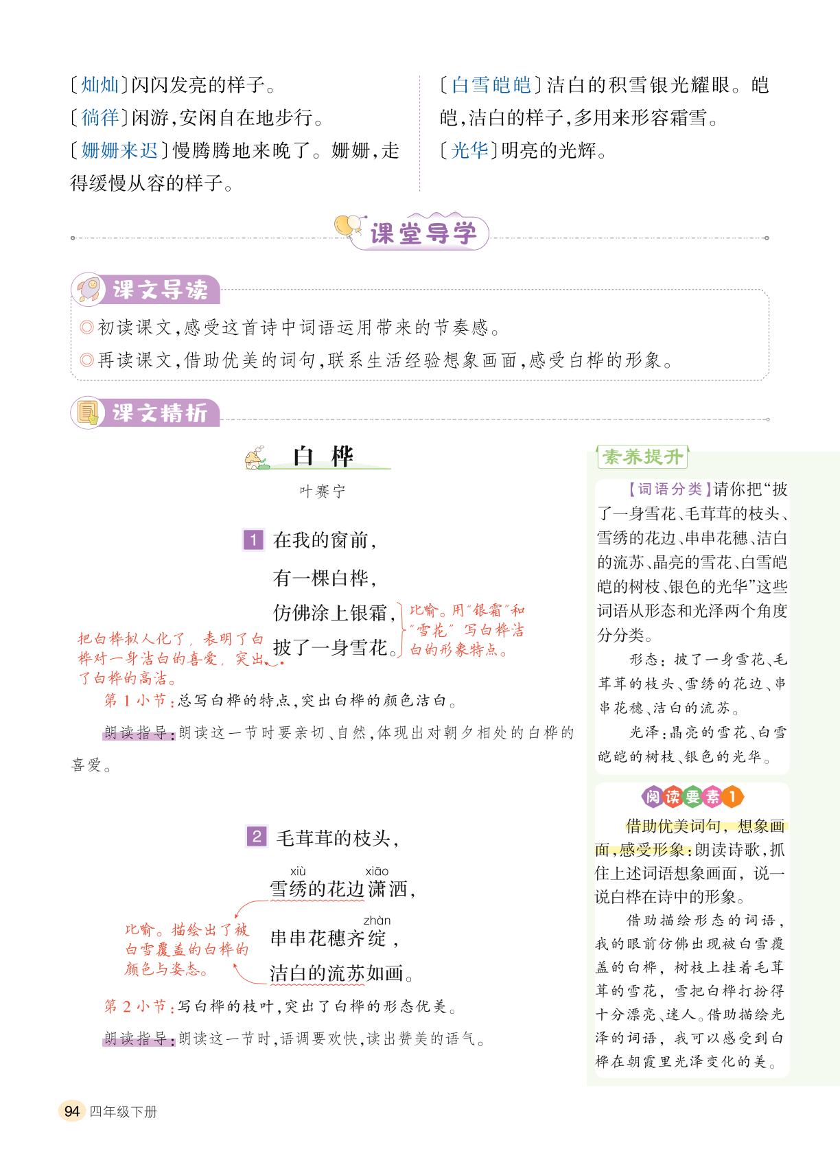 第3单元 11 白桦-【千里马】2024-2025学年四年级下册语文字词句段篇（统编版）