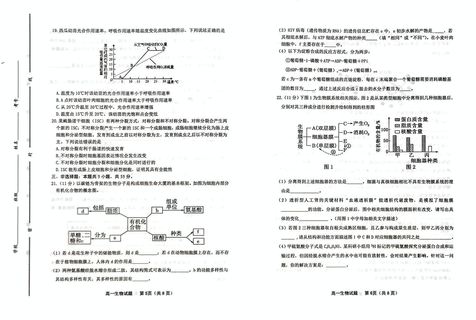 山东省潍坊市2024-2025学年高一上学期期末监测生物试卷