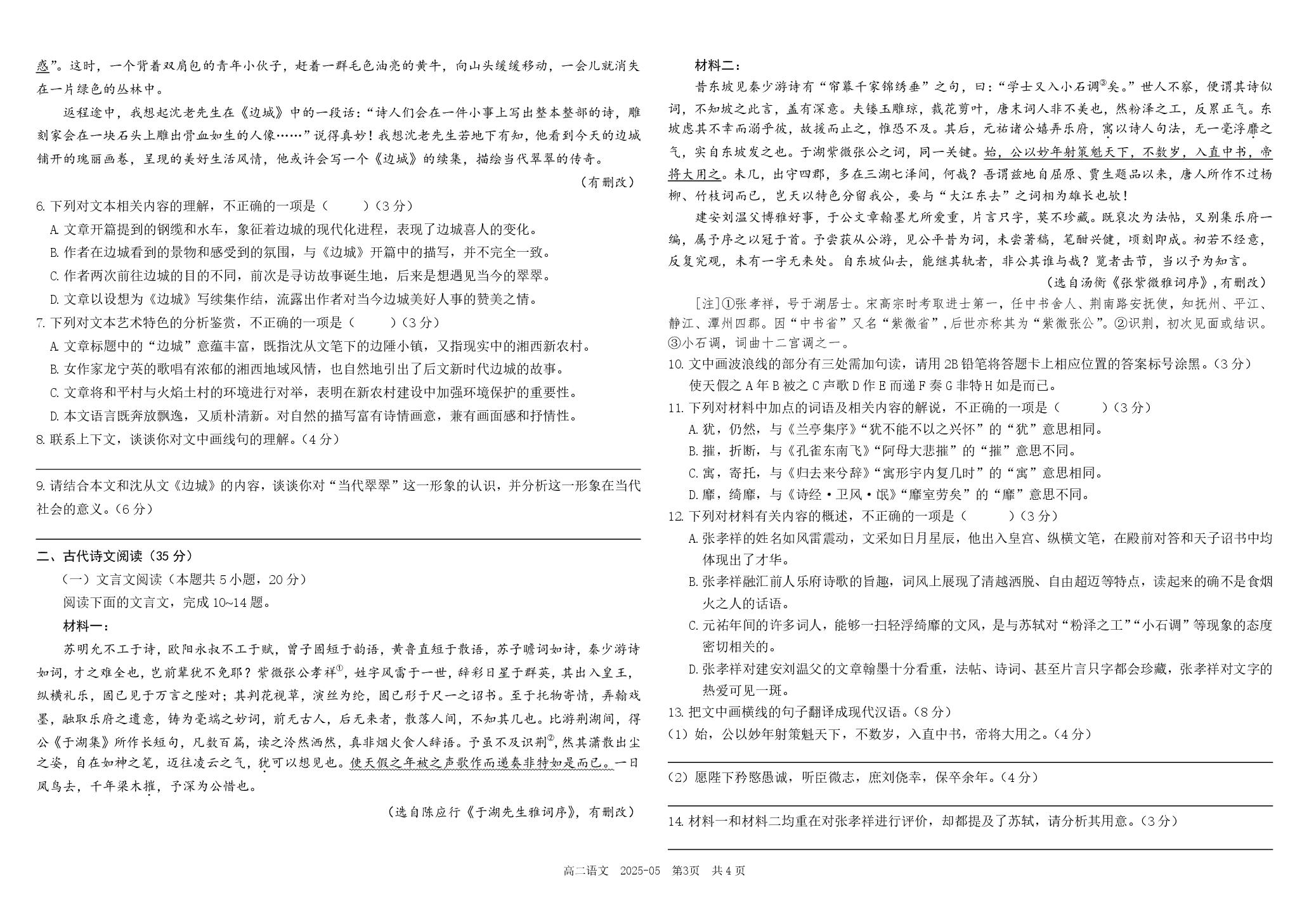 四川省成都市树德中学2024-2025学年高二下学期5月月考语文试题