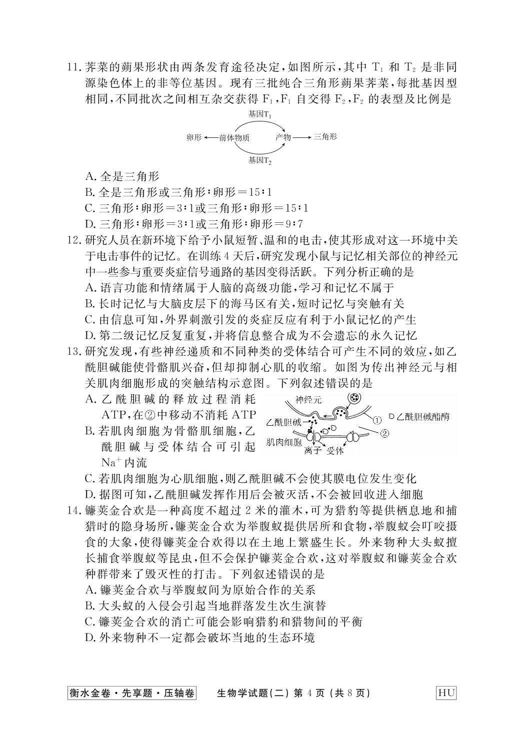2025年普通高中学业水平选择性考试模拟试题生物(2)-【衡水金卷·先享题·压轴卷】2025年生物模拟试题（HU专版）