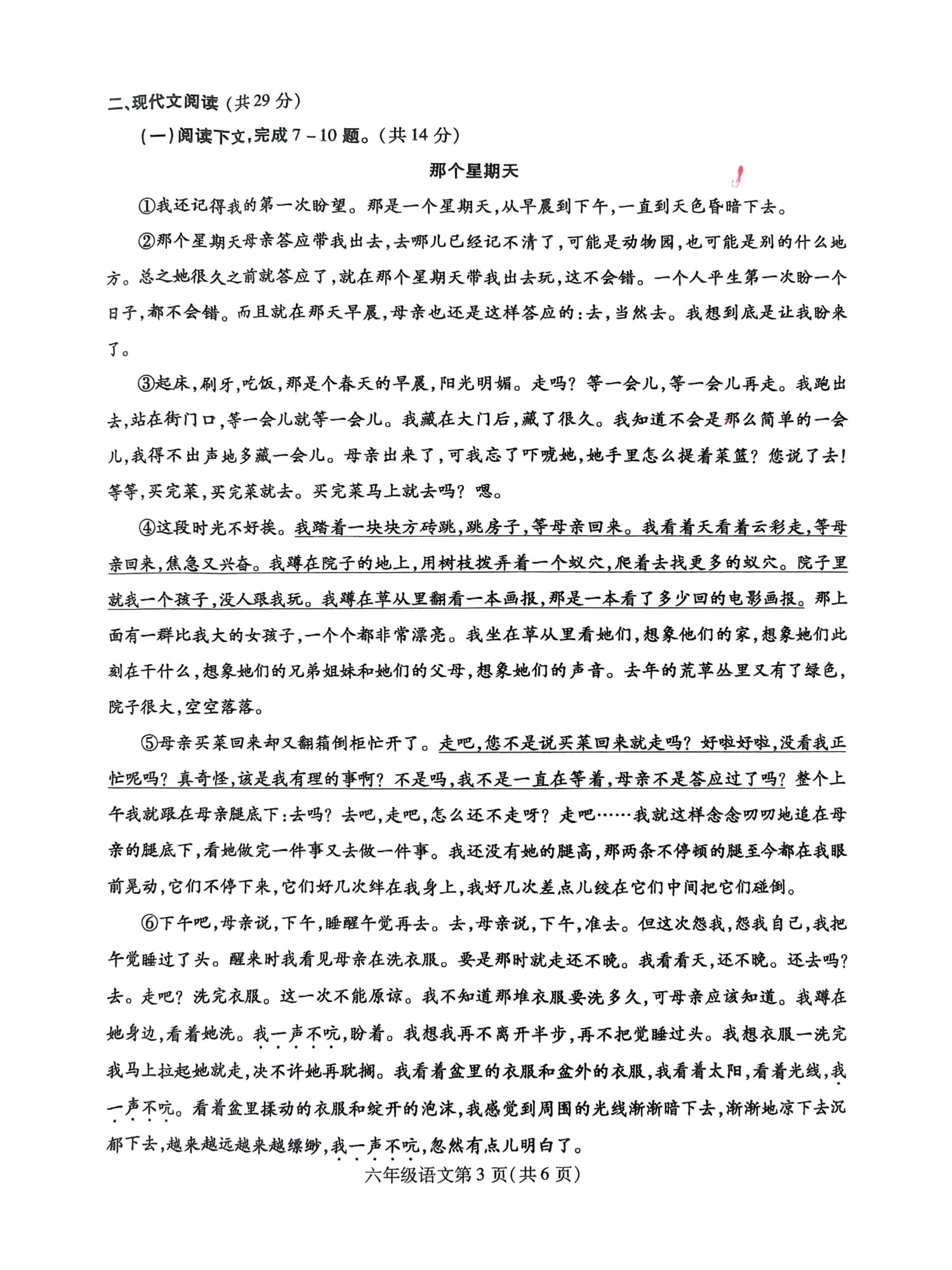 河南省平顶山市鲁山县2024-2025学年六年级下学期期末考试语文试卷