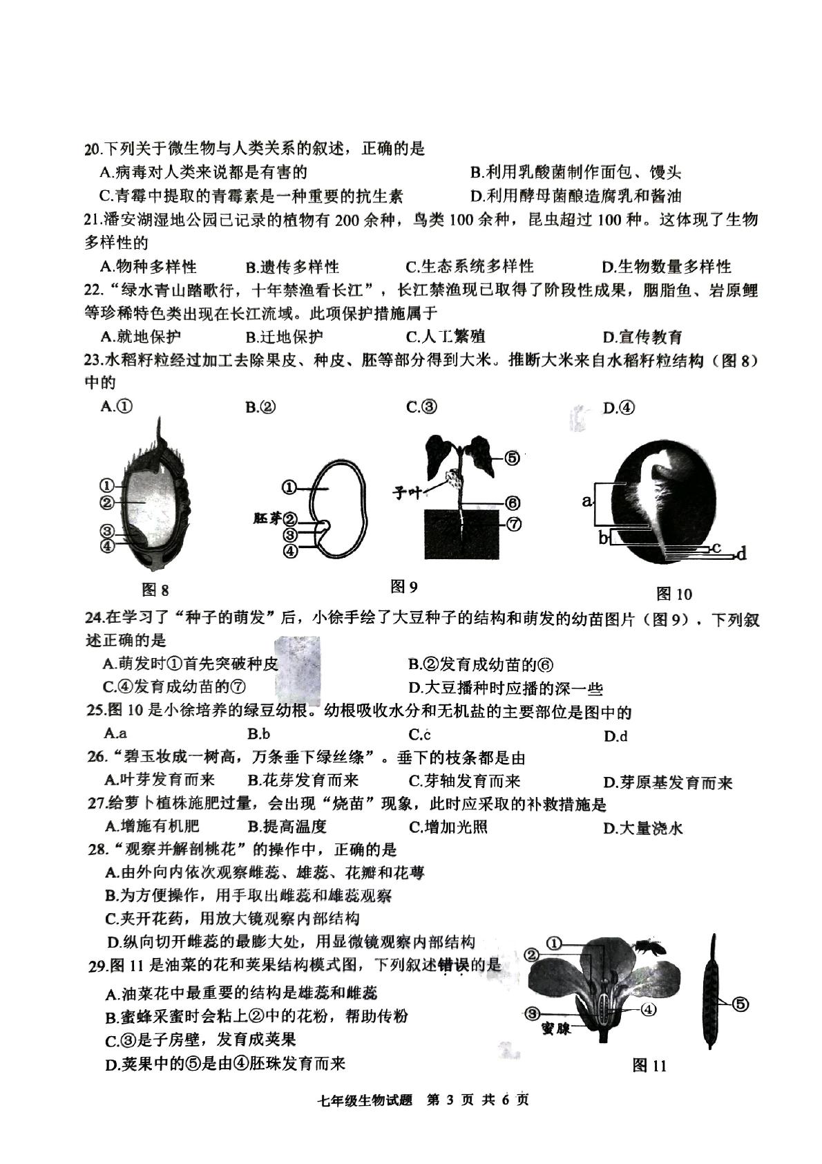 江苏省徐州市沛县实验学校联盟学区2024-2025学年七年级下学期6月期末生物试题