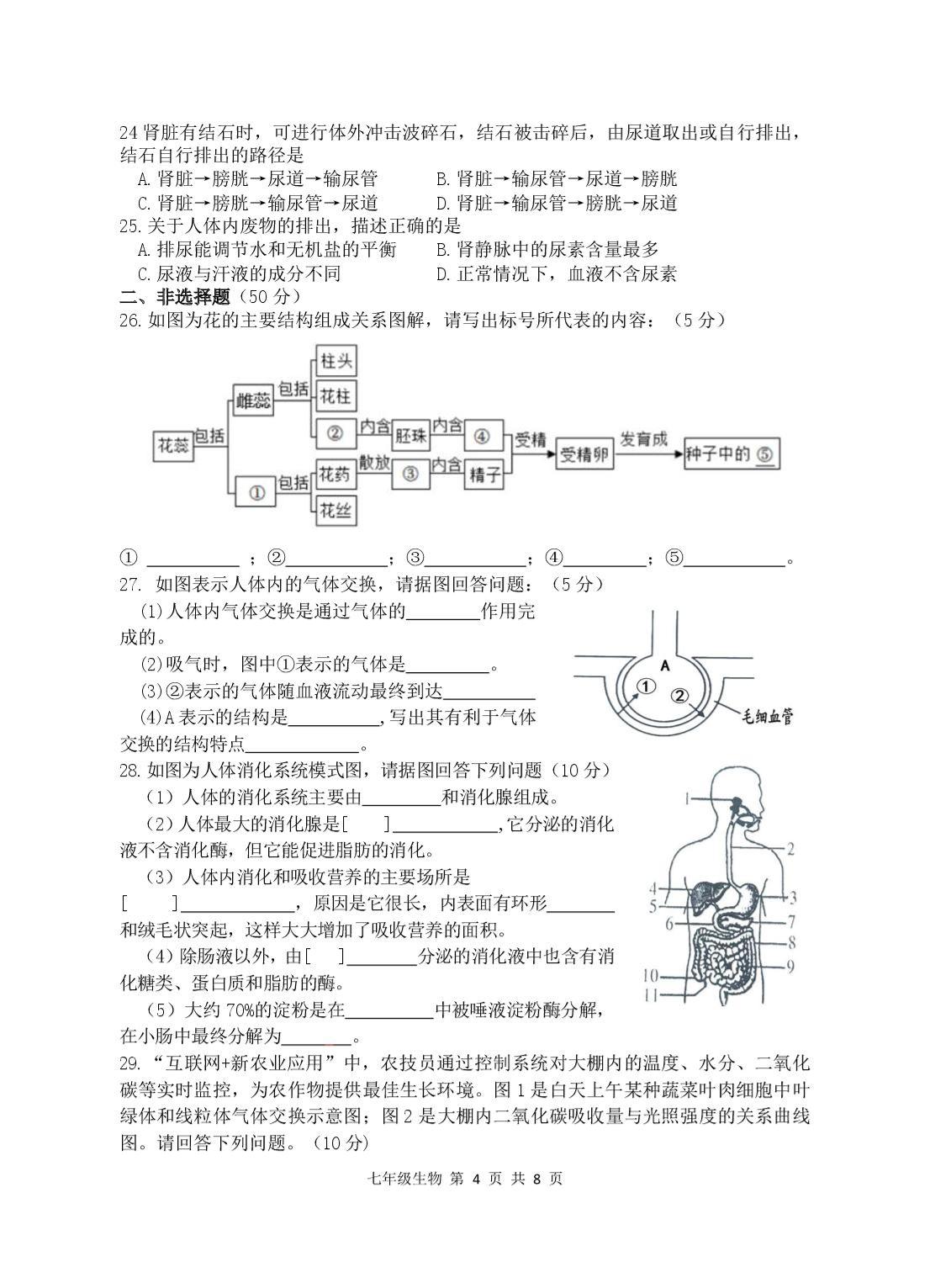 湖南省岳阳市平江县2024-2025学年七年级下学期6月期末考试生物试题
