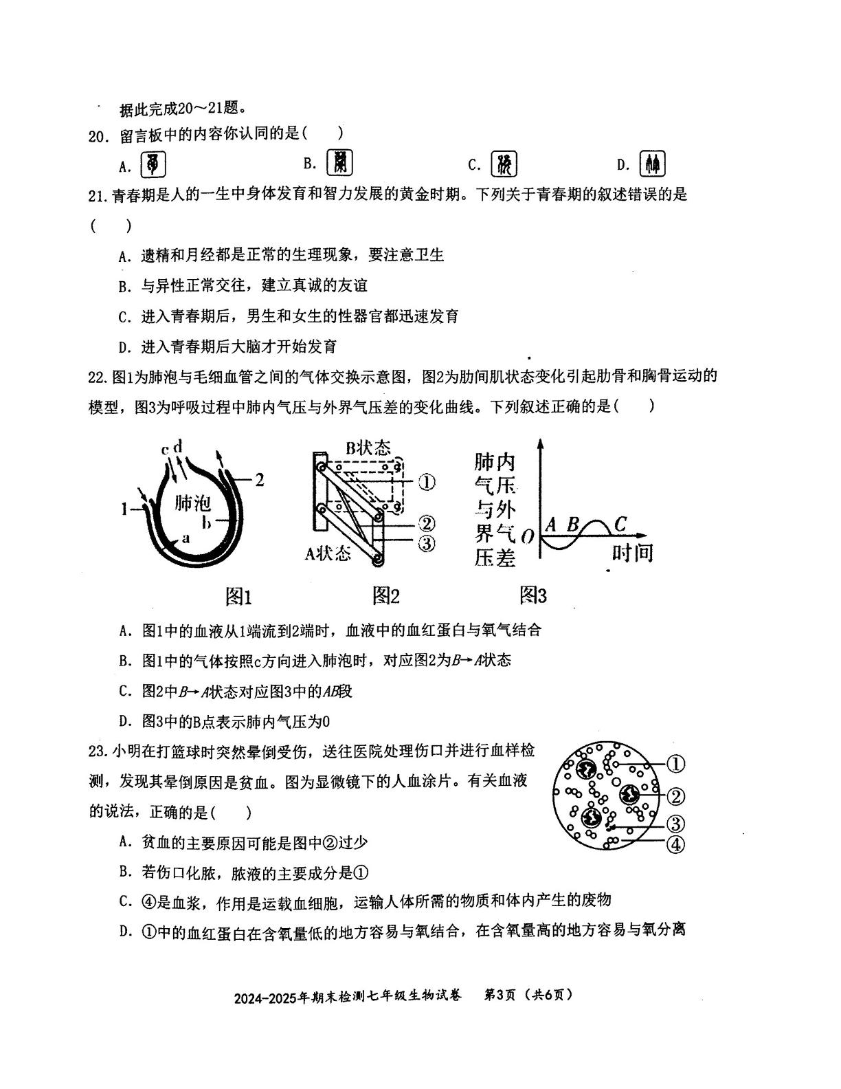 湖北省黄石市两区联考2024-2025学年七年级下学期期末生物试卷
