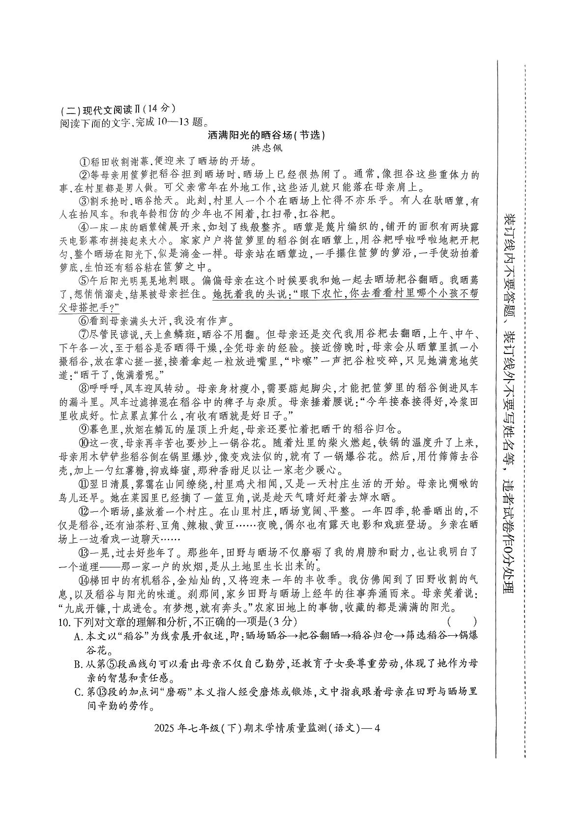 湖南省邵阳市新宁县乡镇联考2024-2025学年七年级下学期6月期末语文试题