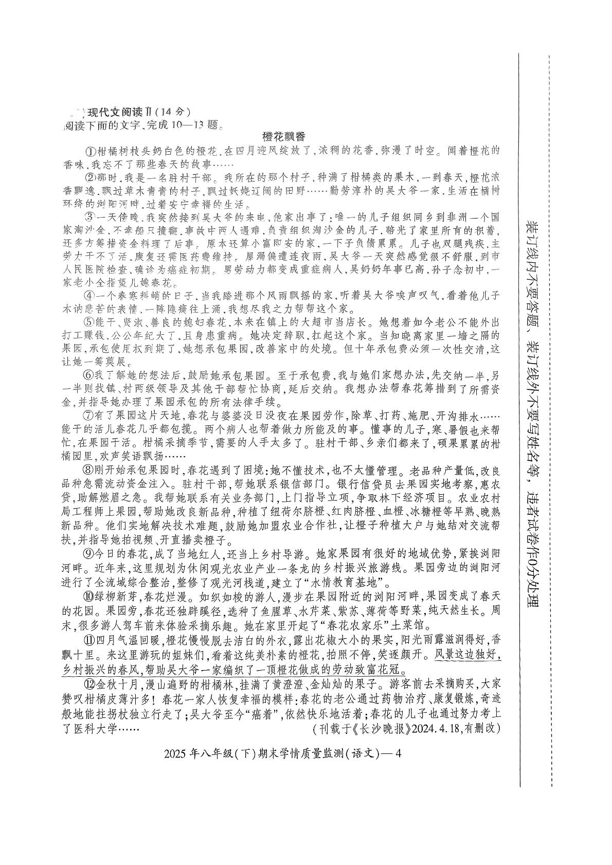 湖南省邵阳市新宁县乡镇联考2024-2025学年八年级下学期6月期末语文试题
