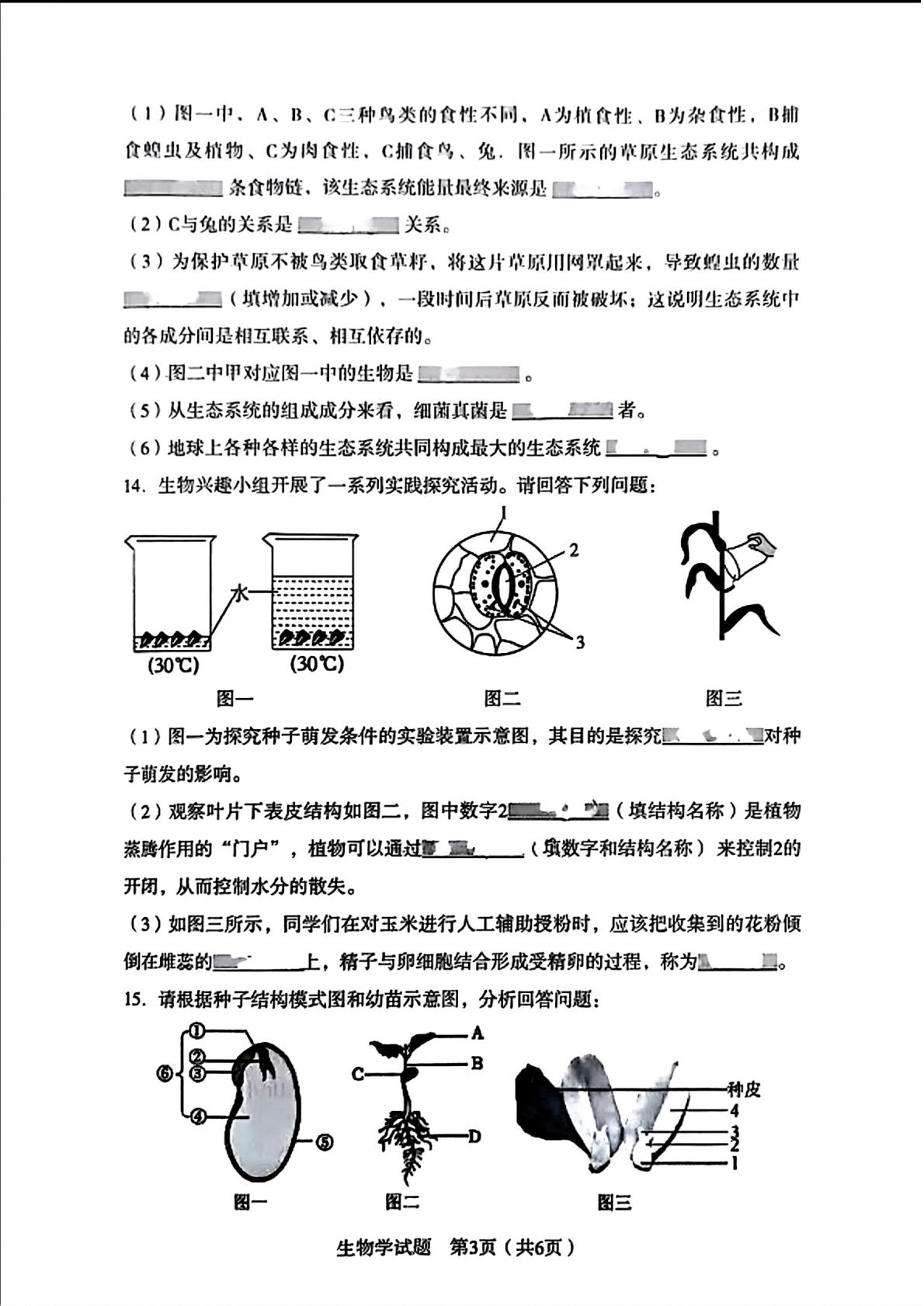 辽宁省沈阳市沈河区2024-2025学年七年级下学期期末考试生物试题
