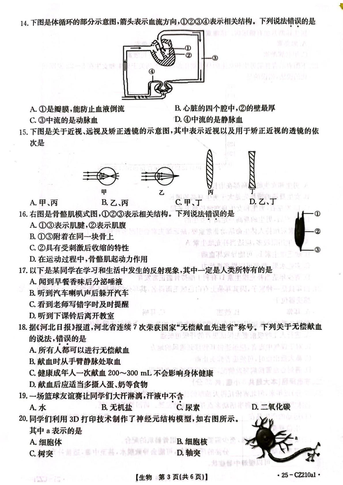 河北省保定市高碑店市2024-2025学年七年级下学期7月期末考试生物试题