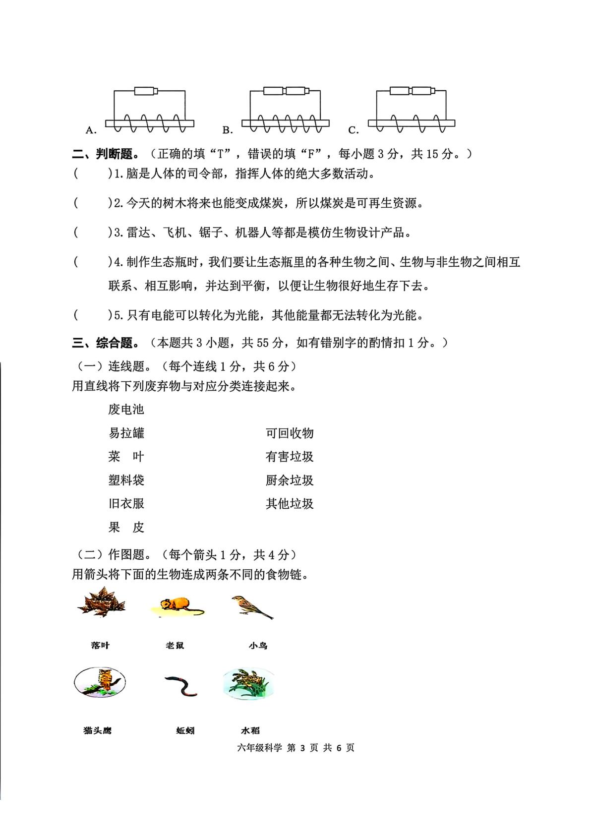 广东省汕尾市陆丰市2024-2025学年六年级下学期期末科学试题