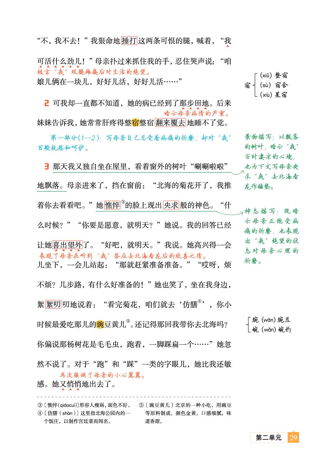 5 秋天的怀念 史铁生-【教材笔记】2025-2026学年新教材七年级上册语文课前预习笔记（统编版2024）