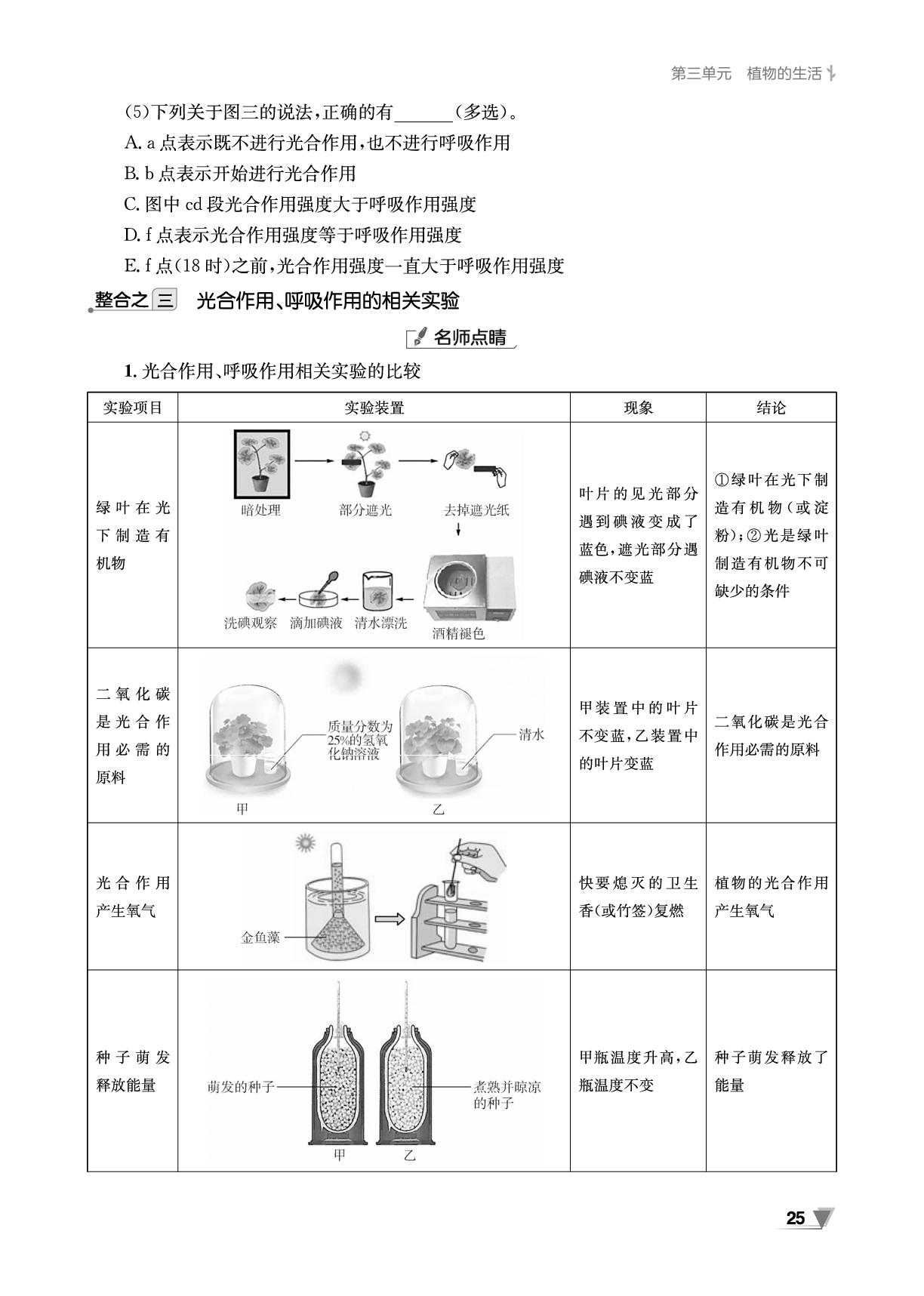 3.2 植物体内的物质与能量变化 复习导学-【全效学习】2024-2025学年新教材七年级生物下册同步学练测（人教版2024）