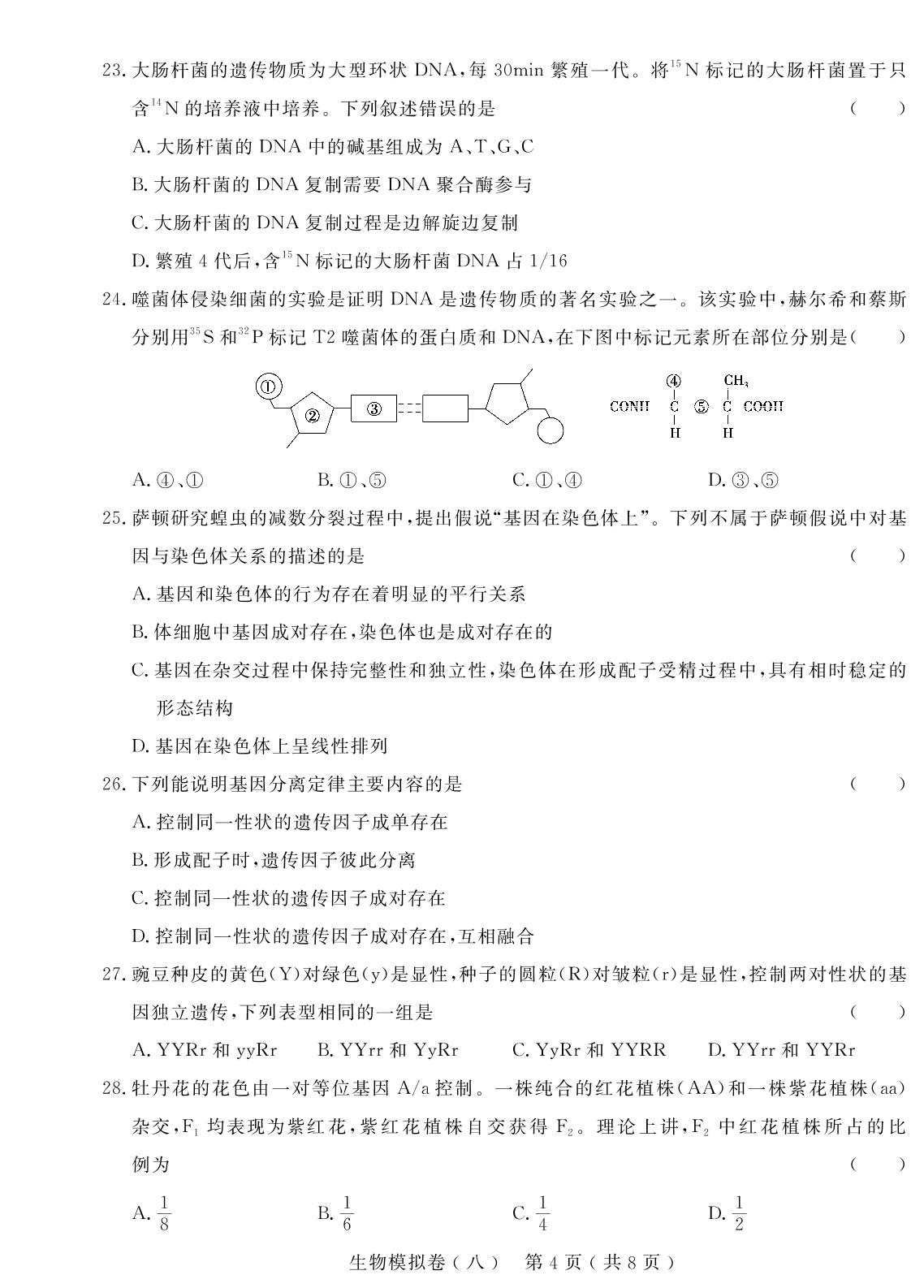 生物模拟卷(八)-【学考金卷】新疆高中学业水平合格性考试生物模拟卷