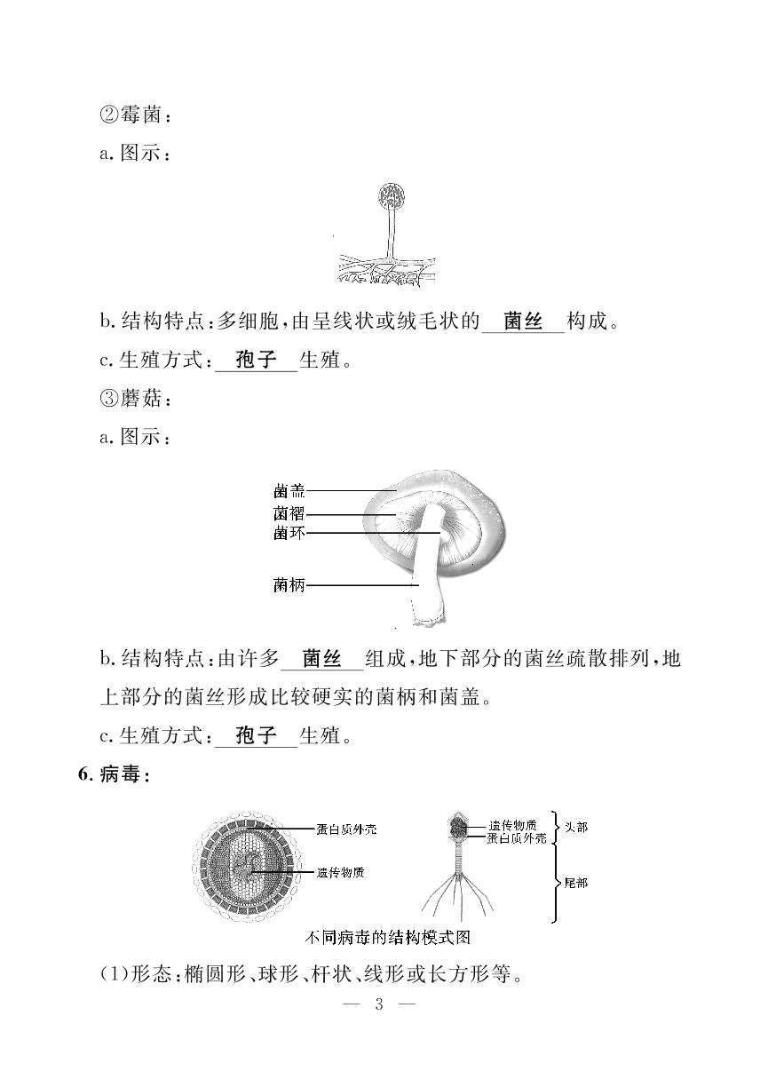 第12章 微生物与人的生活（小册子）-【探究在线】2025-2026学年新教材八年级上册生物高效课堂导学案（北师大版2024）