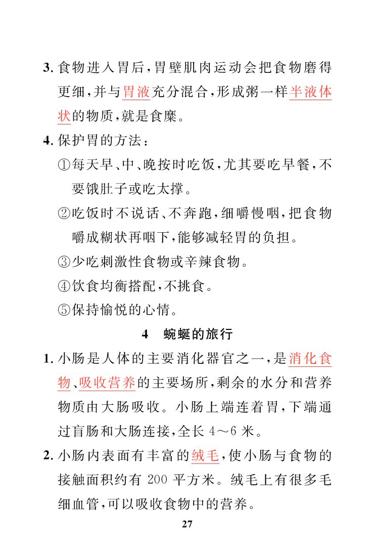 第5单元 人体的消化器官（知识梳理）-【黄冈名师·天天练】2025-2026学年四年级上册科学（大象版2017）