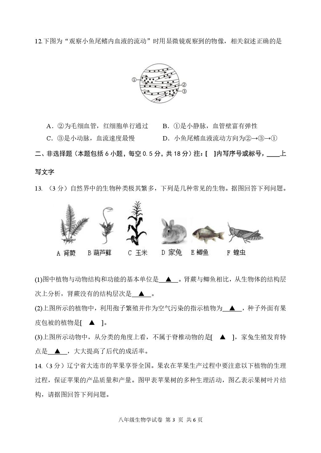 辽宁省抚顺市新抚区2024-2025学年八年级下学期第四次教学质量检测生物试卷