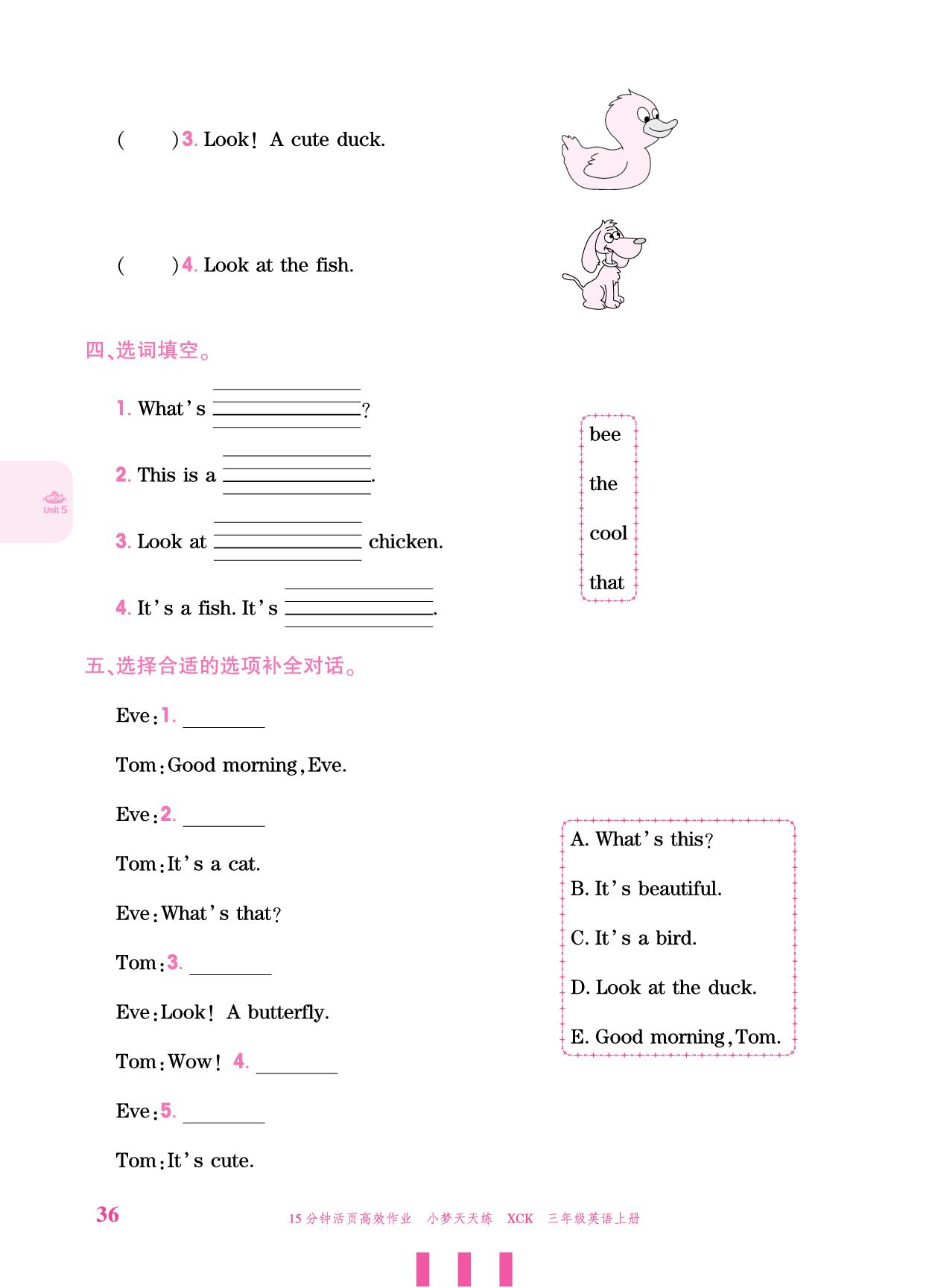 Unit 5 Animals around us-【小梦天天练】2025-2026学年新教材三年级上册英语活页小学同步练习（科普版2024）
