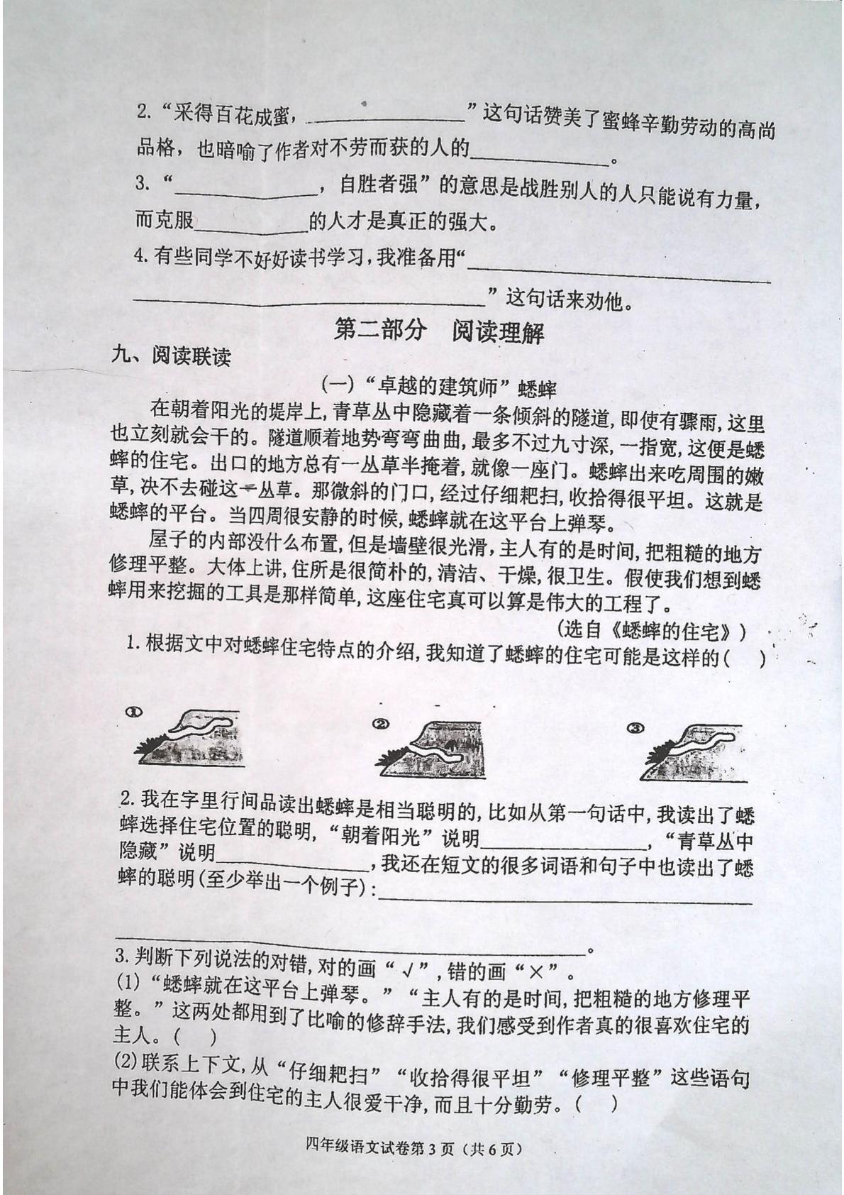 吉林省白城市洮北区2024-2025学年四年级下学期期末语文试卷