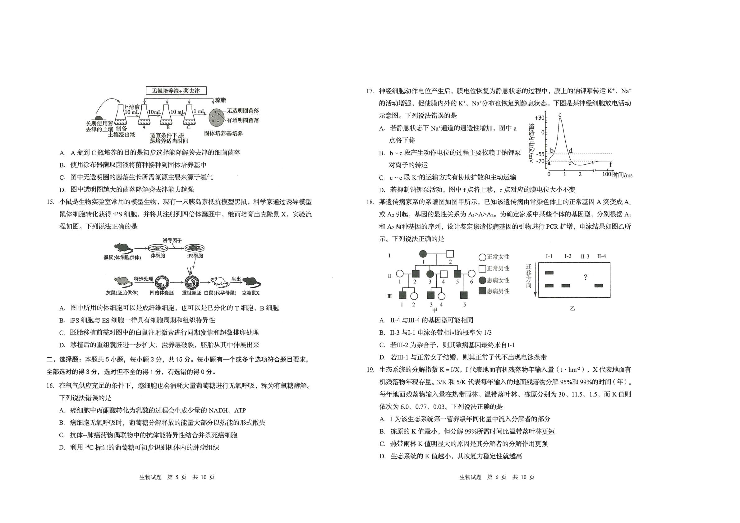 山东省青岛市2025—2026学年高三上学期期初考试生物试题