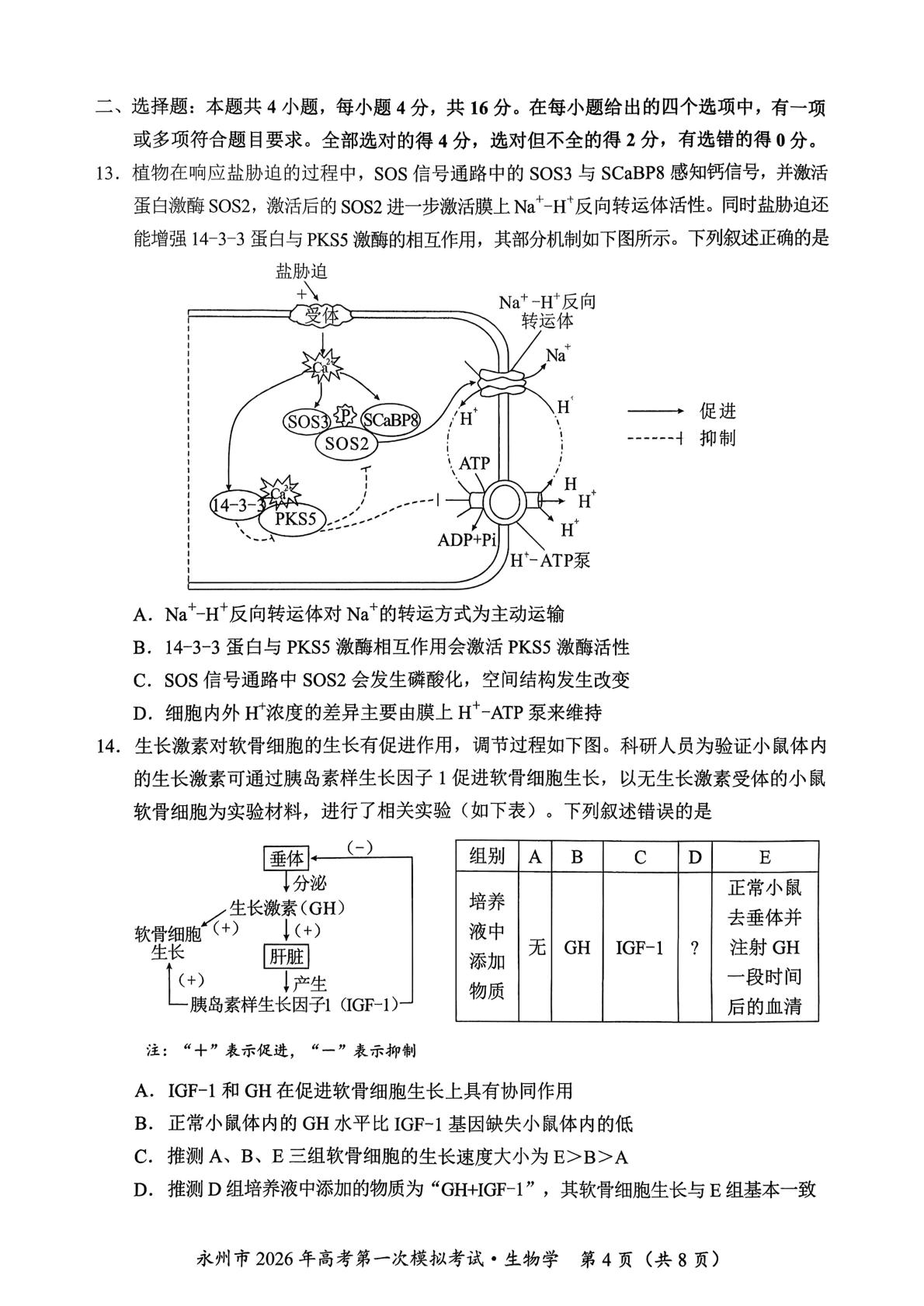 2026届湖南省永州市一模生物试题