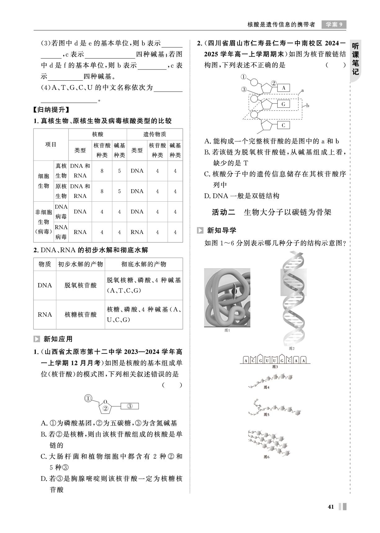 第2章 学案9 核酸是遗传信息的携带者-【智学校本学案】2025-2026学年高中生物必修1 分子与细胞（人教版）