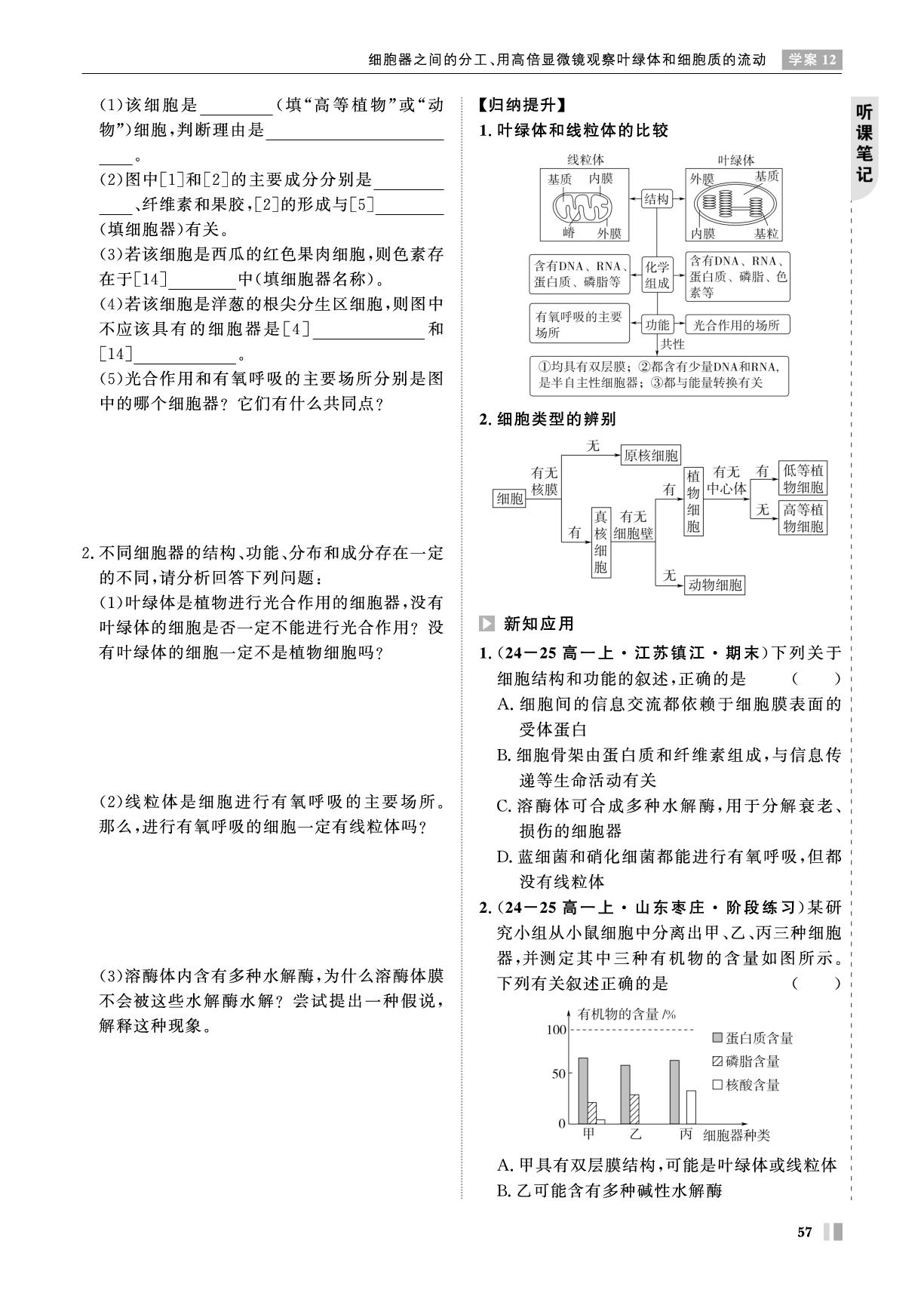 第3章 学案12 细胞器之间的分工、用高倍显微镜察叶绿体和细胞质的流动-【智学校本学案】2025-2026学年高中生物必修1 分子与细胞（人教版）