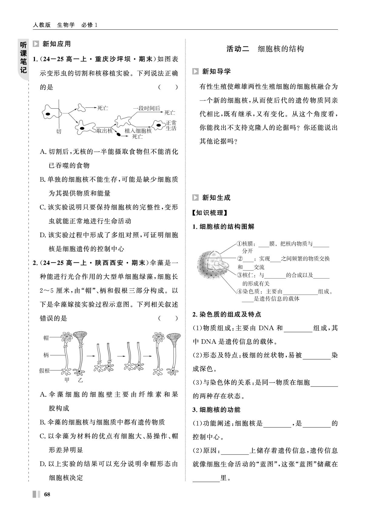 第3章 学案14 细胞核的结构和功能-【智学校本学案】2025-2026学年高中生物必修1 分子与细胞（人教版）