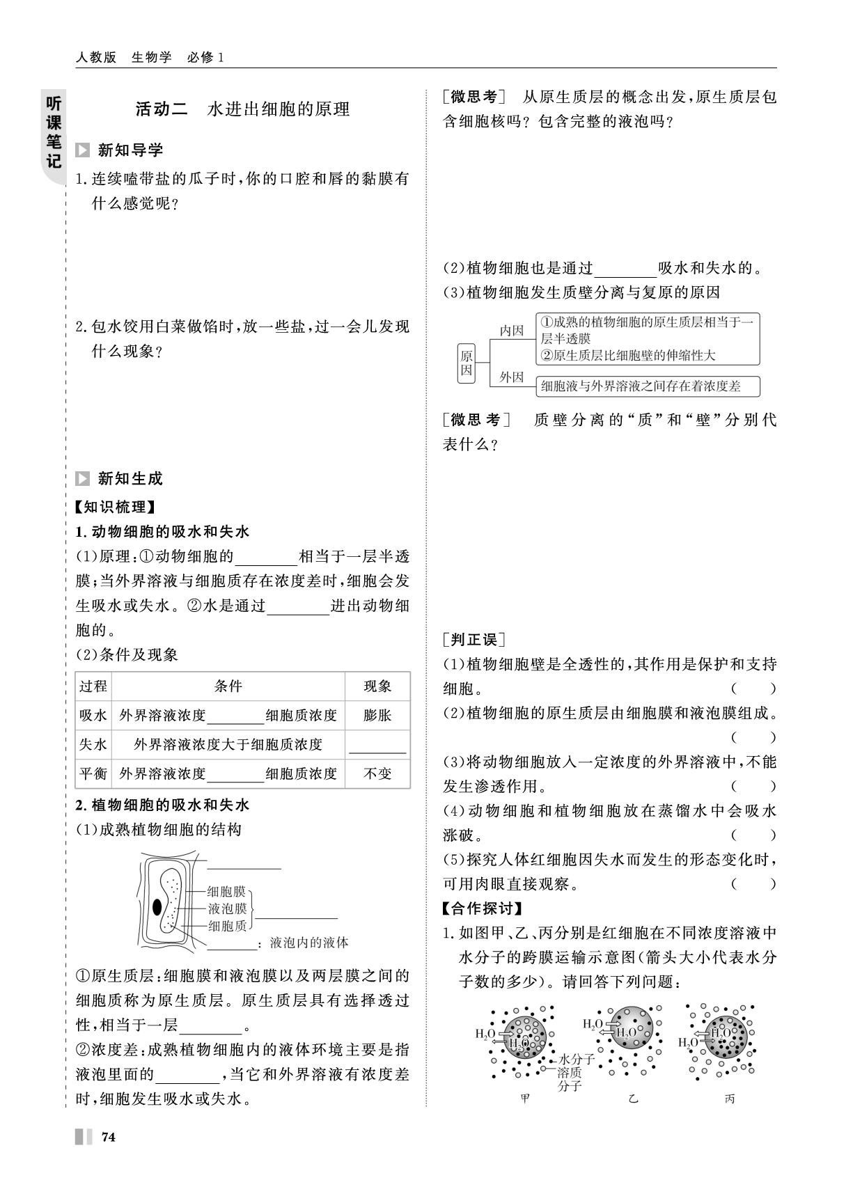 第4章 学案15 水进出细胞的原理-【智学校本学案】2025-2026学年高中生物必修1 分子与细胞（人教版）