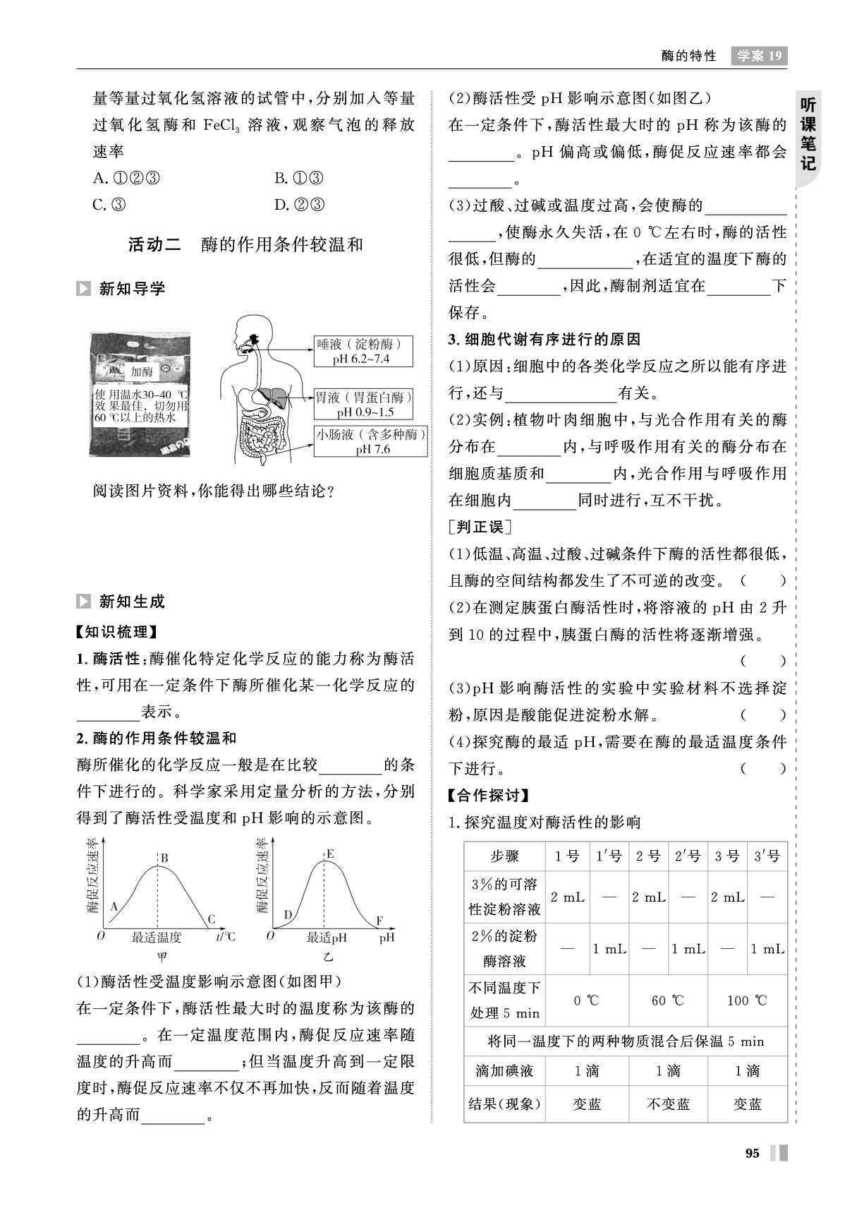 第5章 学案19 酶的特性-【智学校本学案】2025-2026学年高中生物必修1 分子与细胞（人教版）