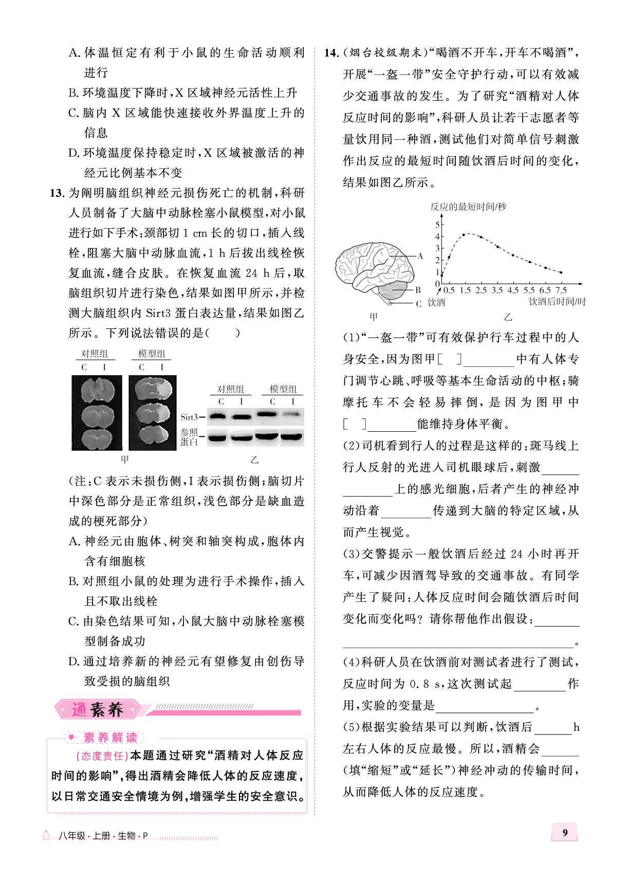 第四单元 第六章 第二节 神经调节-【优+学案】2025-2026学年新教材八年级上册生物课时通（人教版2024）