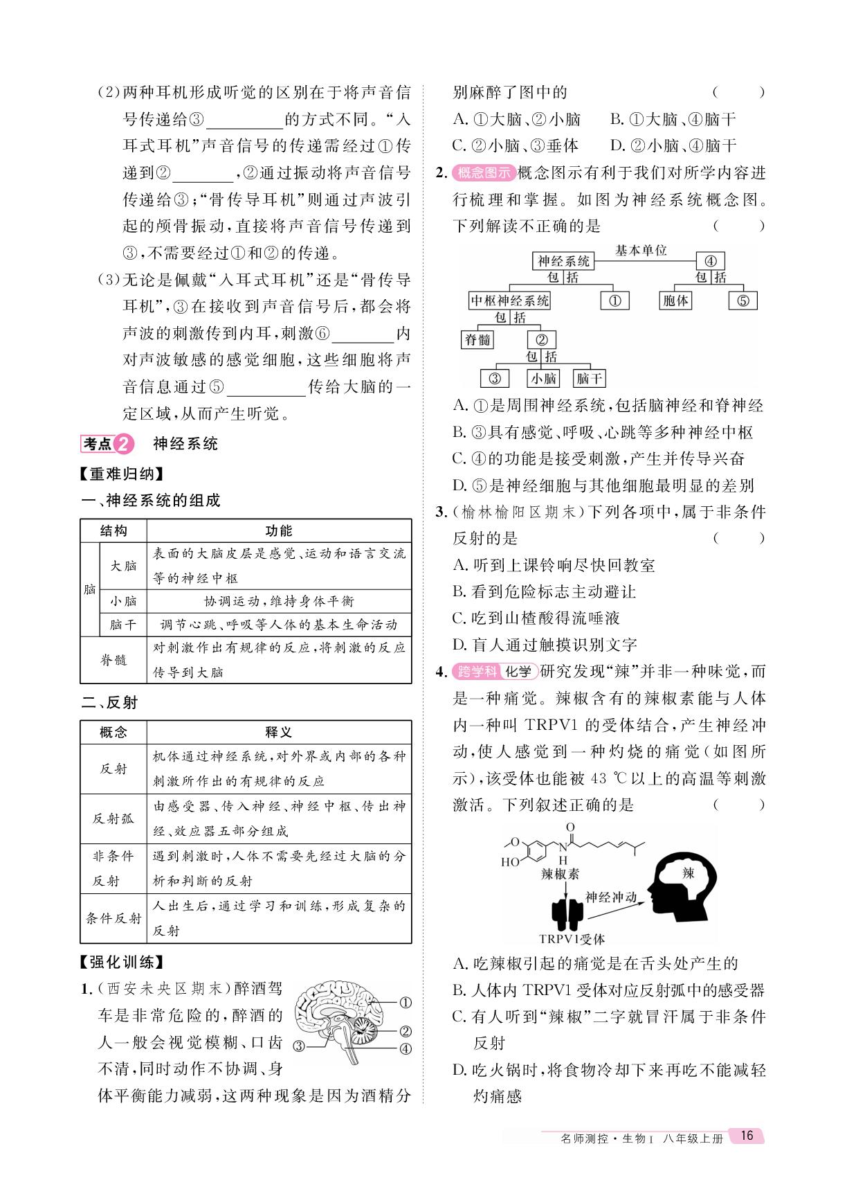 第四单元 第六章 人体生命活动的调节 总结提升-【鸿鹄志·名师测控】2025-2026学年新教材八年级上册生物（人教版2024 陕西专版）