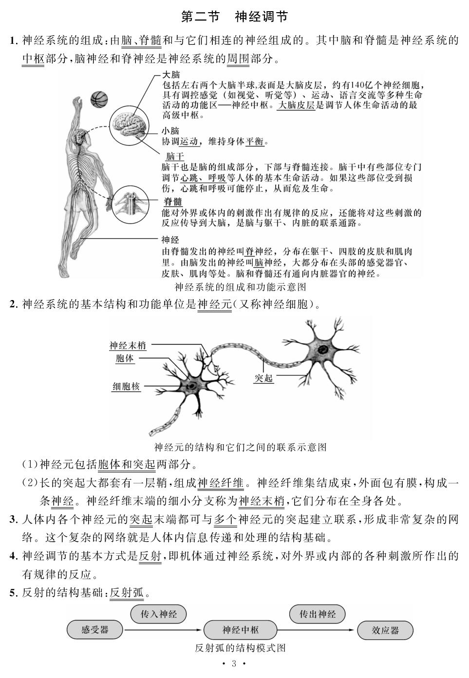 第四单元 第六章 人体生命活动的调节 知识梳理-【鸿鹄志·名师测控】2025-2026学年新教材八年级上册生物（人教版2024 陕西专版）