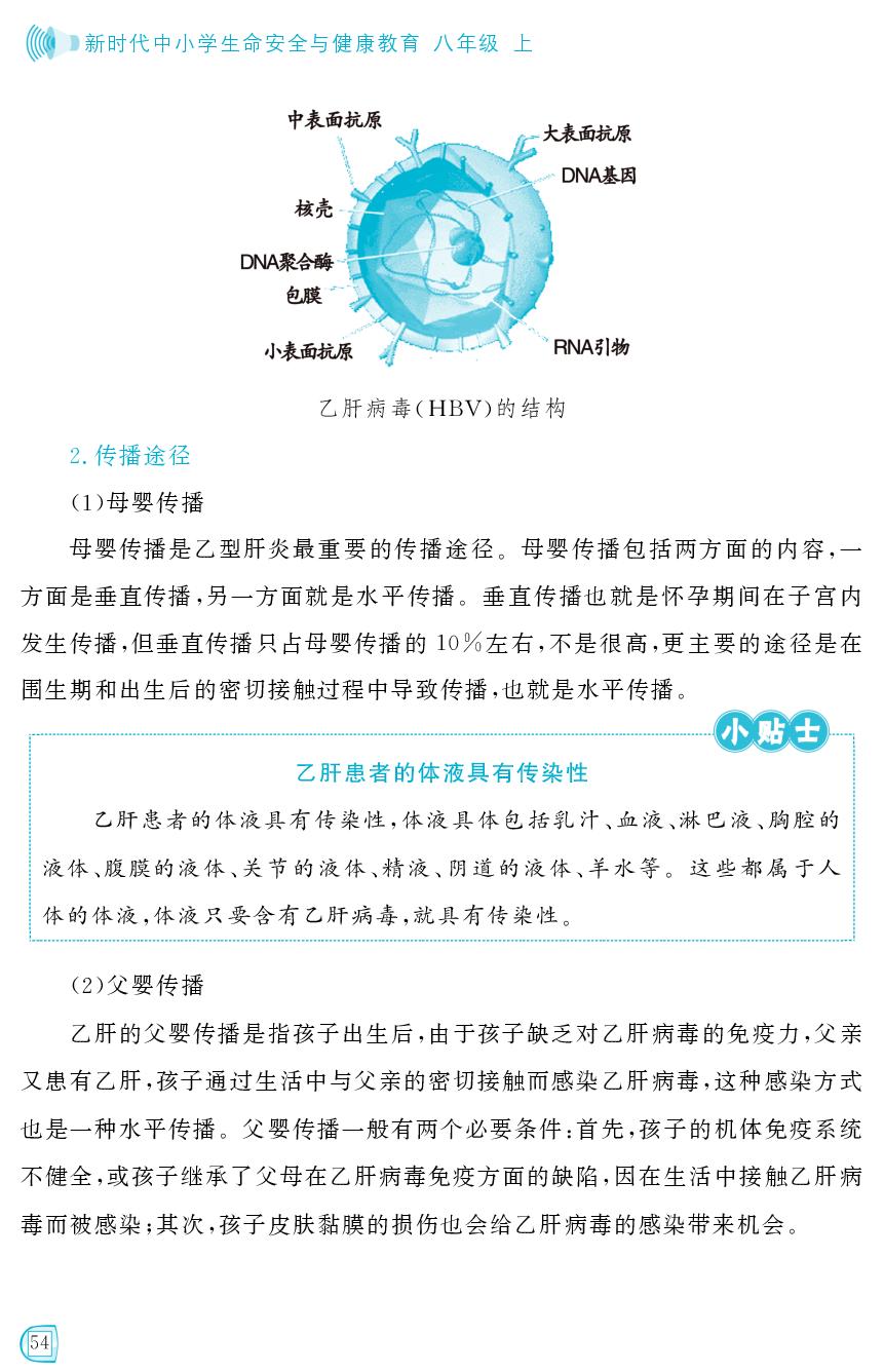 第七课  了解常见病毒性肝炎的预防措施-新时代中小学生生命安全与健康教育八年级上册