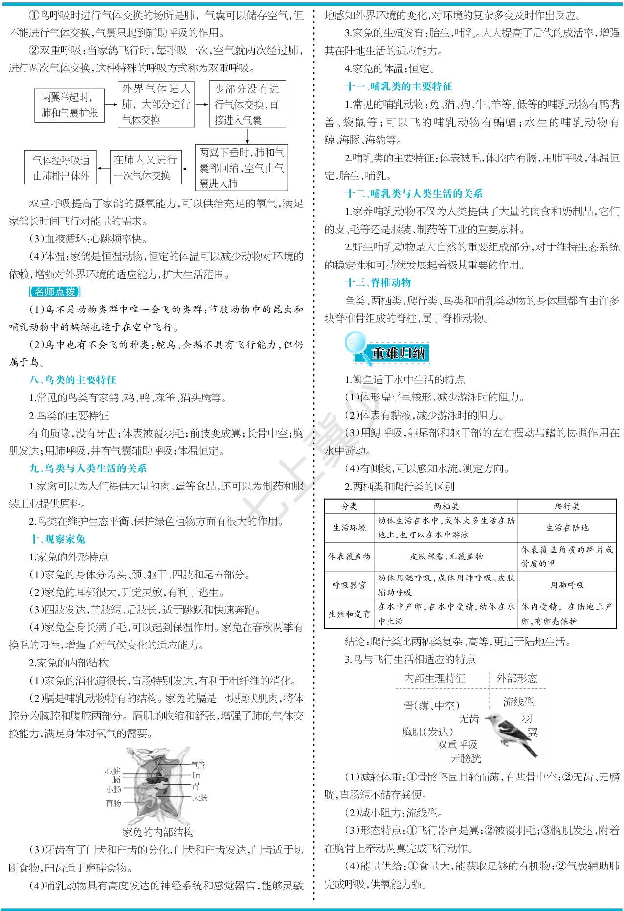2.1.4 脊椎动物-【少年素质教育报】2025-2026学年新教材七年级上册生物一本通（冀少版2024）