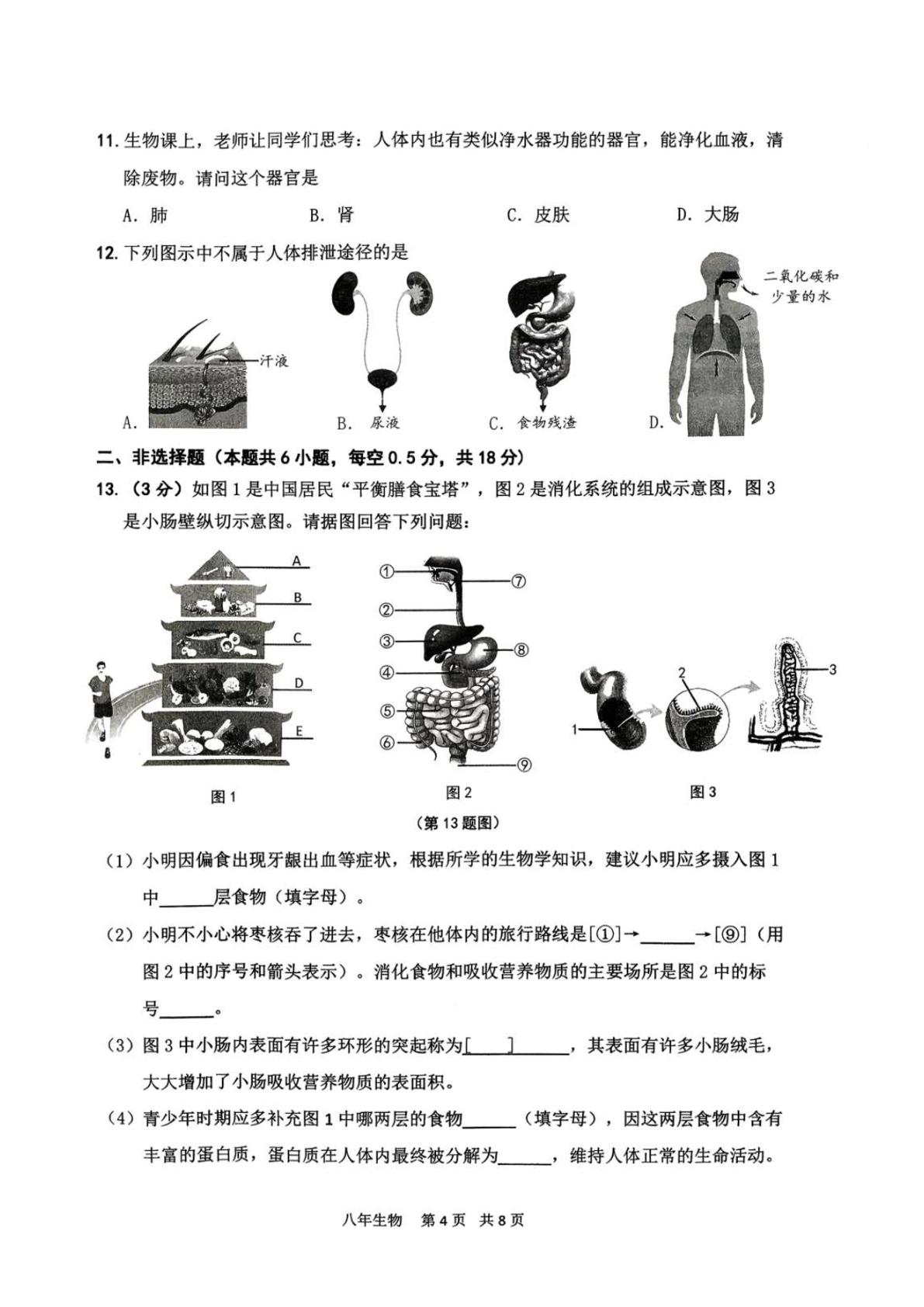 辽宁省鞍山市铁东区2025-2026学年八年级上学期11月期中考试生物试题