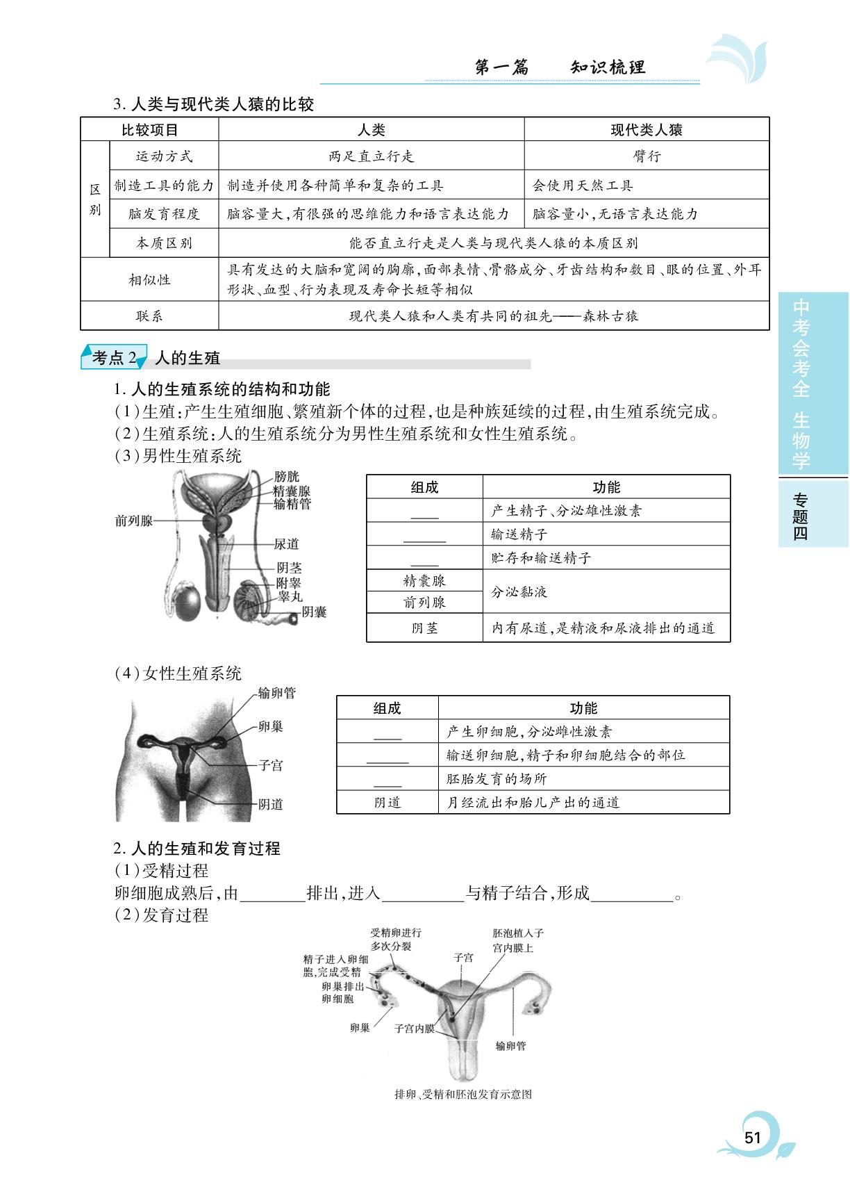 第8章 人的由来-2025年安徽省初中生物中考会考全
