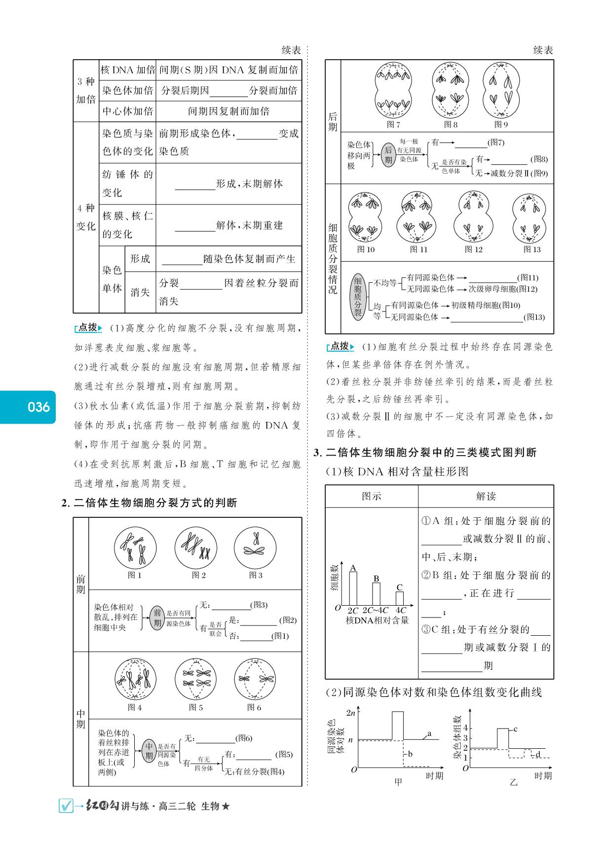考点一 有丝分裂和减数分裂-【红对勾】2025年高考生物二轮复习讲与练