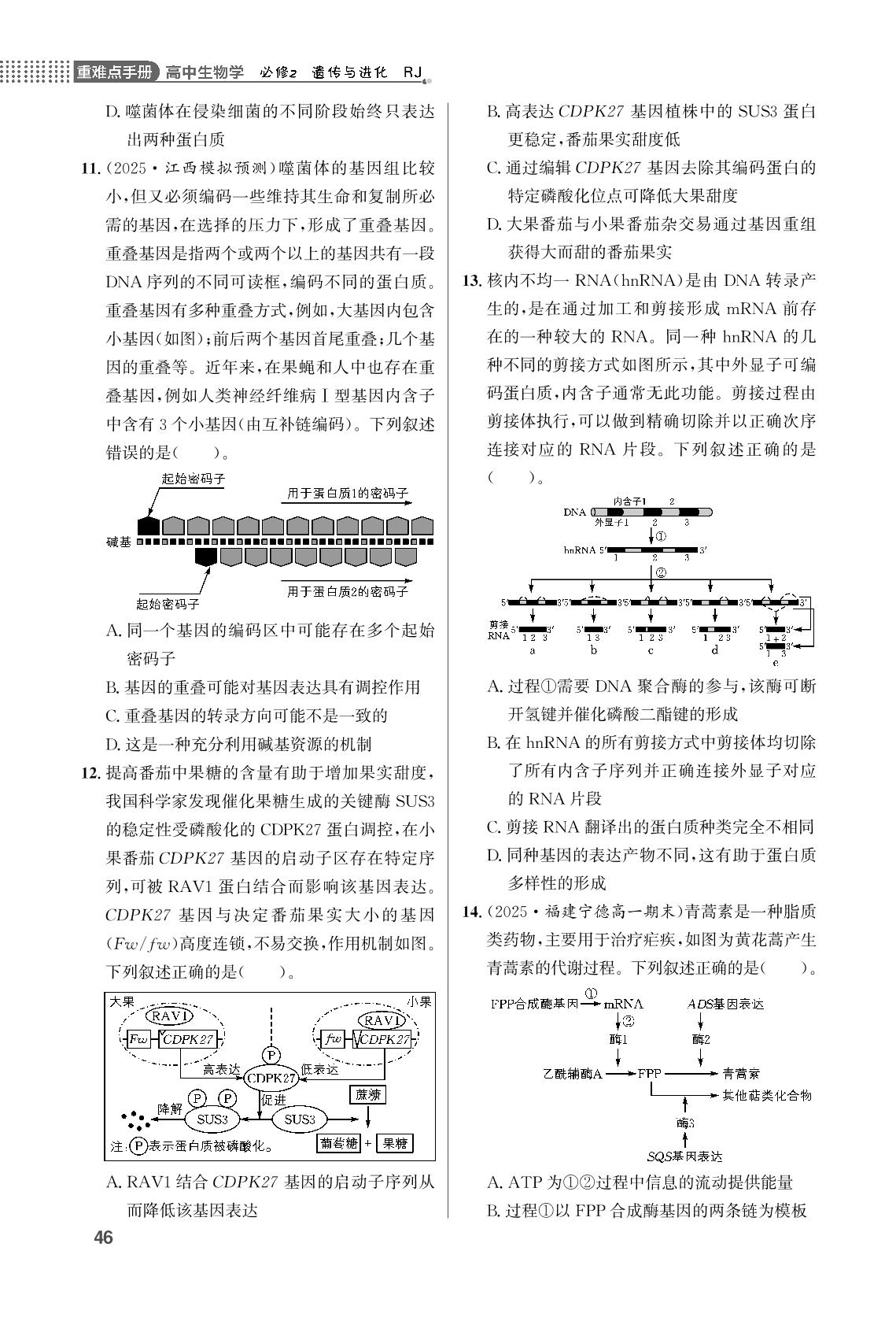 第4章 基因的表达单元学能测评-【重难点手册】2025-2026学年高中生物必修第二册同步练习册（人教版）