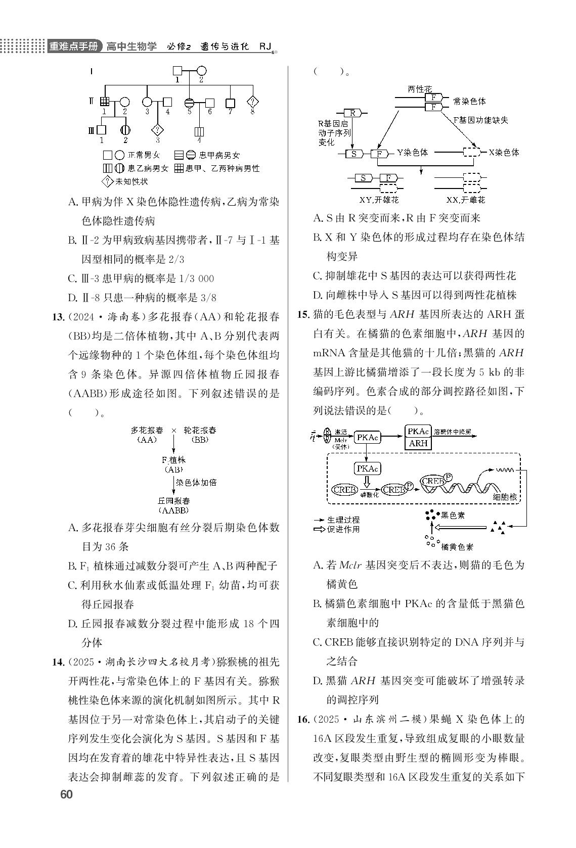 第5章 基因突变及其他变异单元学能测评-【重难点手册】2025-2026学年高中生物必修第二册同步练习册（人教版）