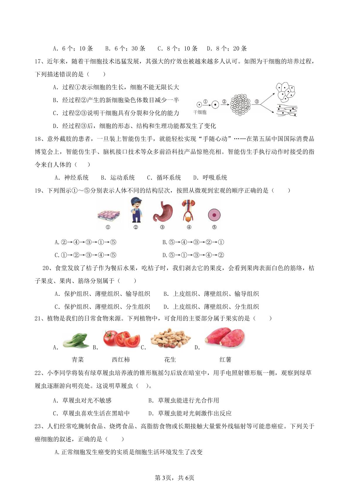 湖南省岳阳市岳阳楼区长岭中学2025-2026学年七年级上学期11月期中生物试题