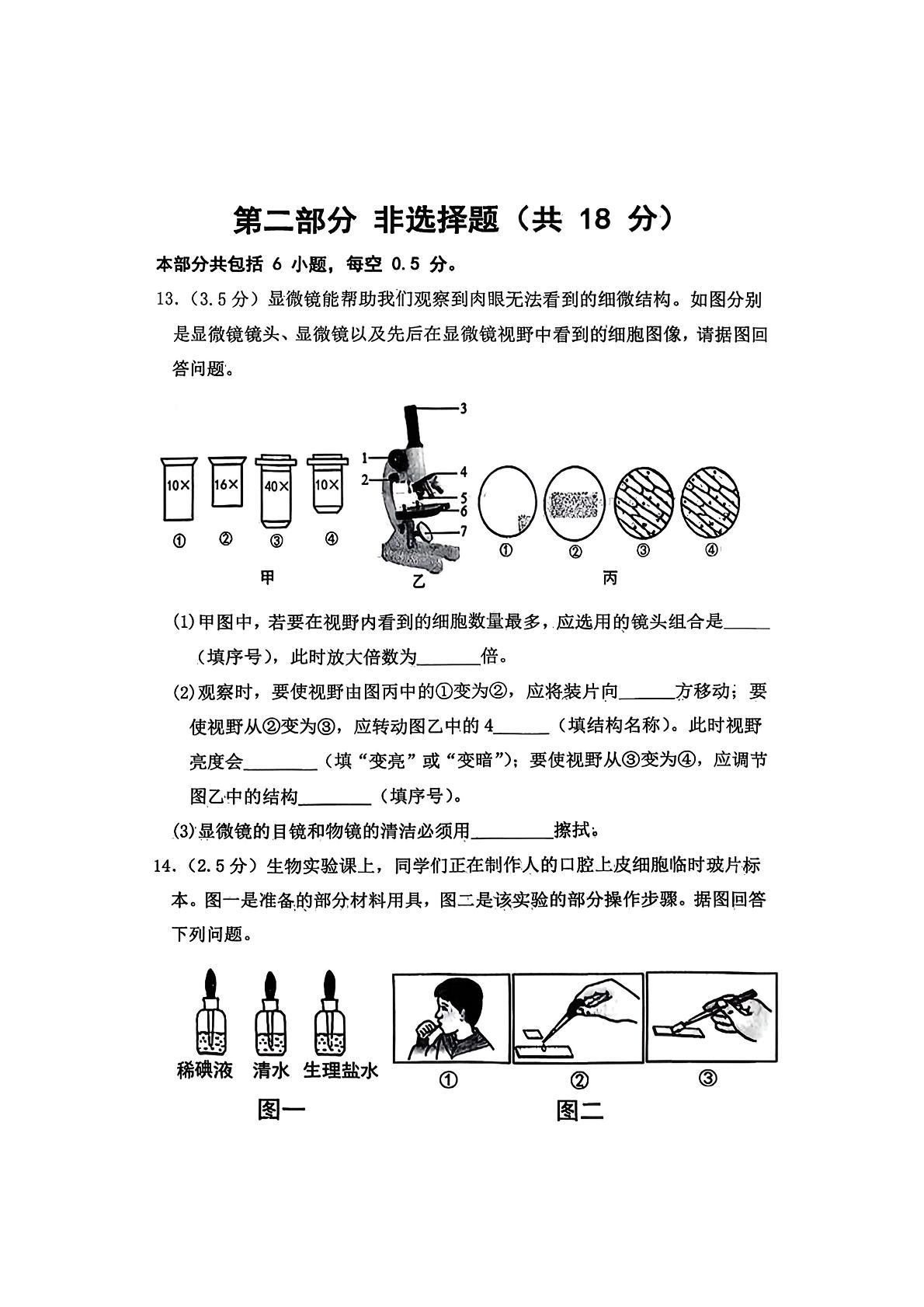 辽宁省沈阳市铁西区2025-2026学年七年级上学期11月期中考试生物试题