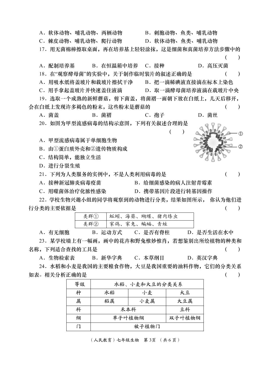 生物（人教版）-2024-2025学年七年级上学期阶段性学习效果评估四（期末）