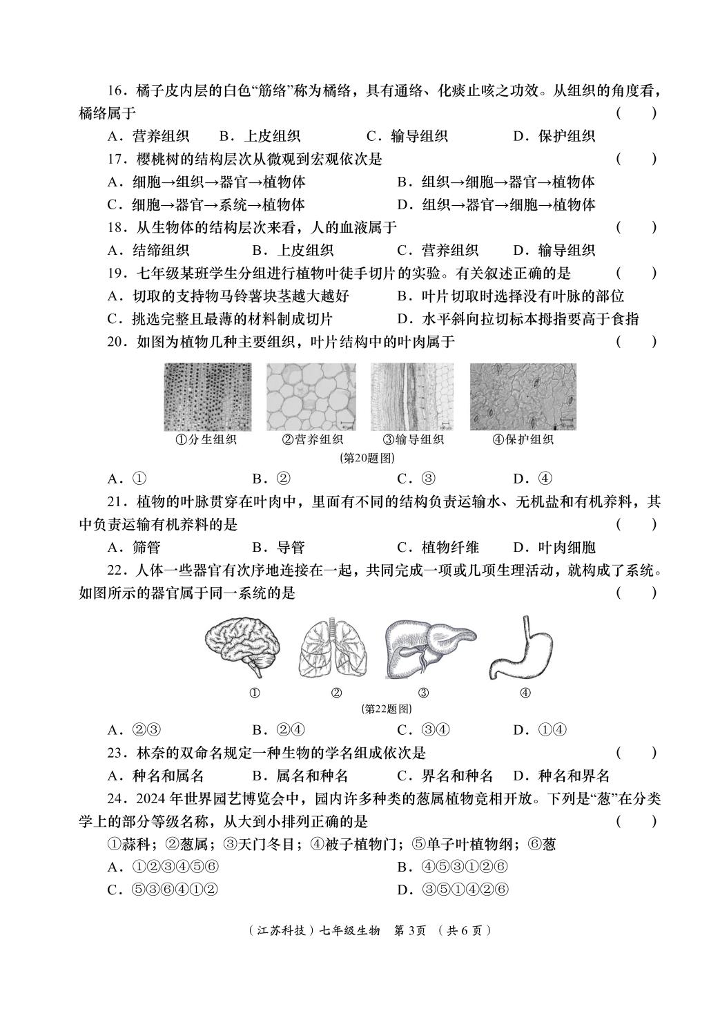 生物（苏科版）-2024-2025学年七年级上学期阶段性学习效果评估四（期末）