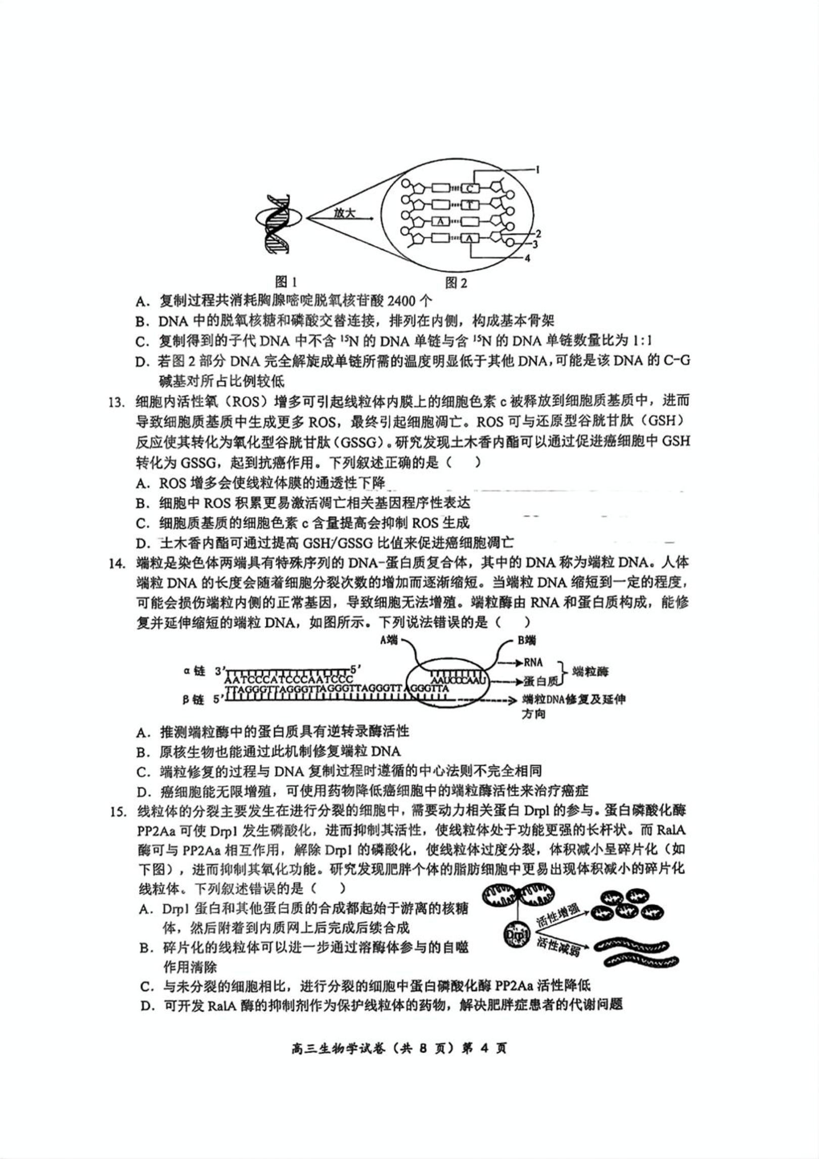 【武汉楚天协作体】湖北省部分重点中学2025-2026学年高三11月联考生物试题