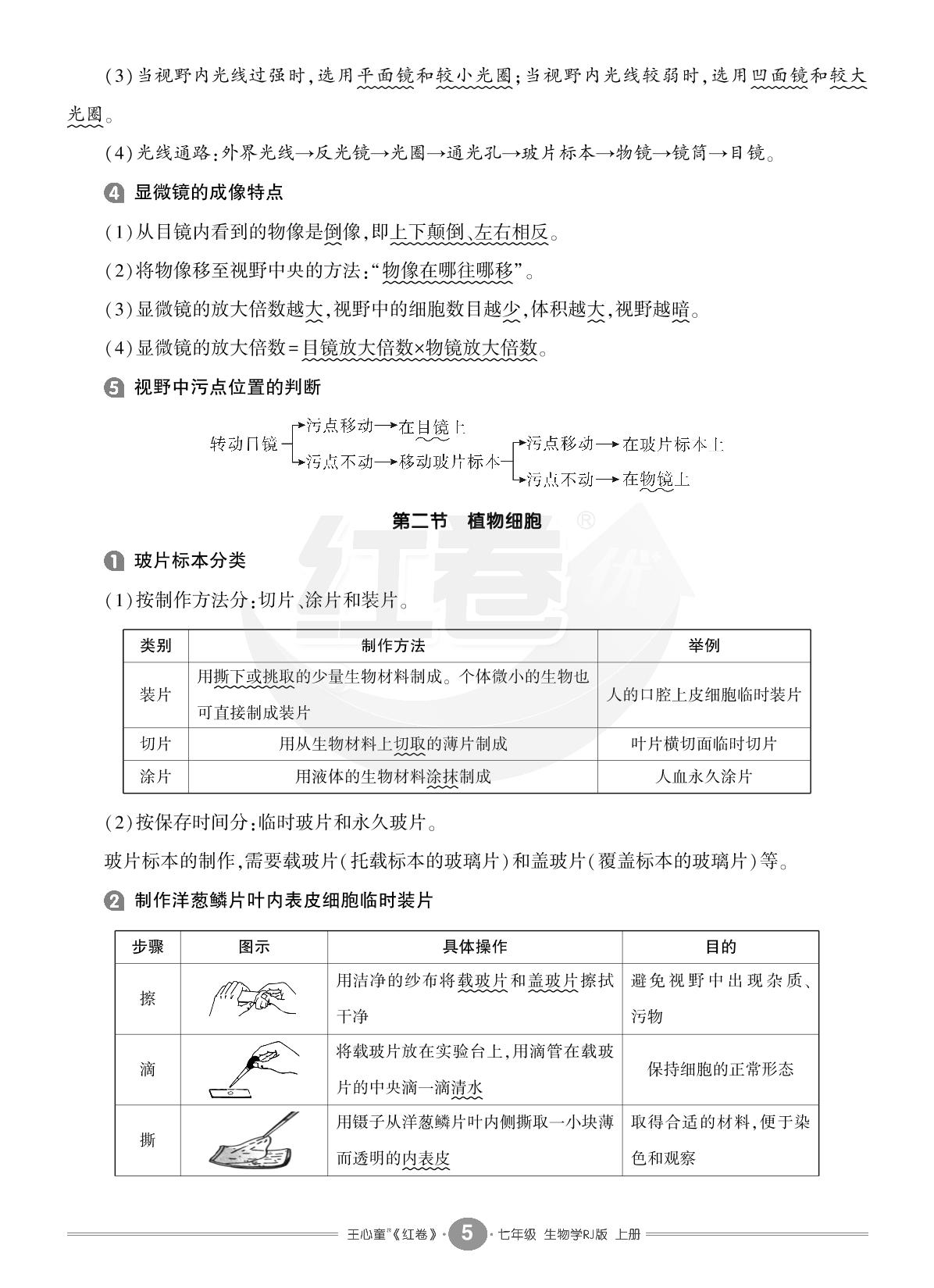 1.2 认识细胞-【红卷】2024-2025学年七年级上册生物学期末复习方案（人教版）