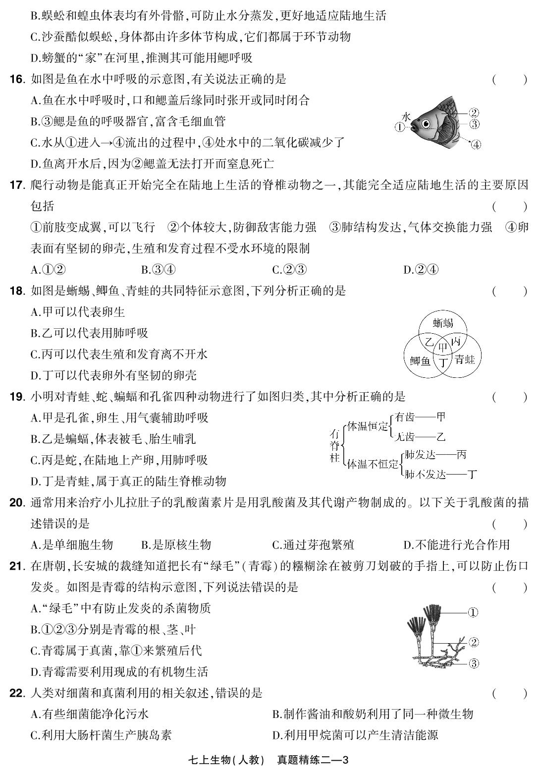 真题精练二 河南省郑州市中原区2023-2024学年上学期学情调研(改编)-【红卷】2024-2025学年七年级上册生物学期末复习方案（人教版）