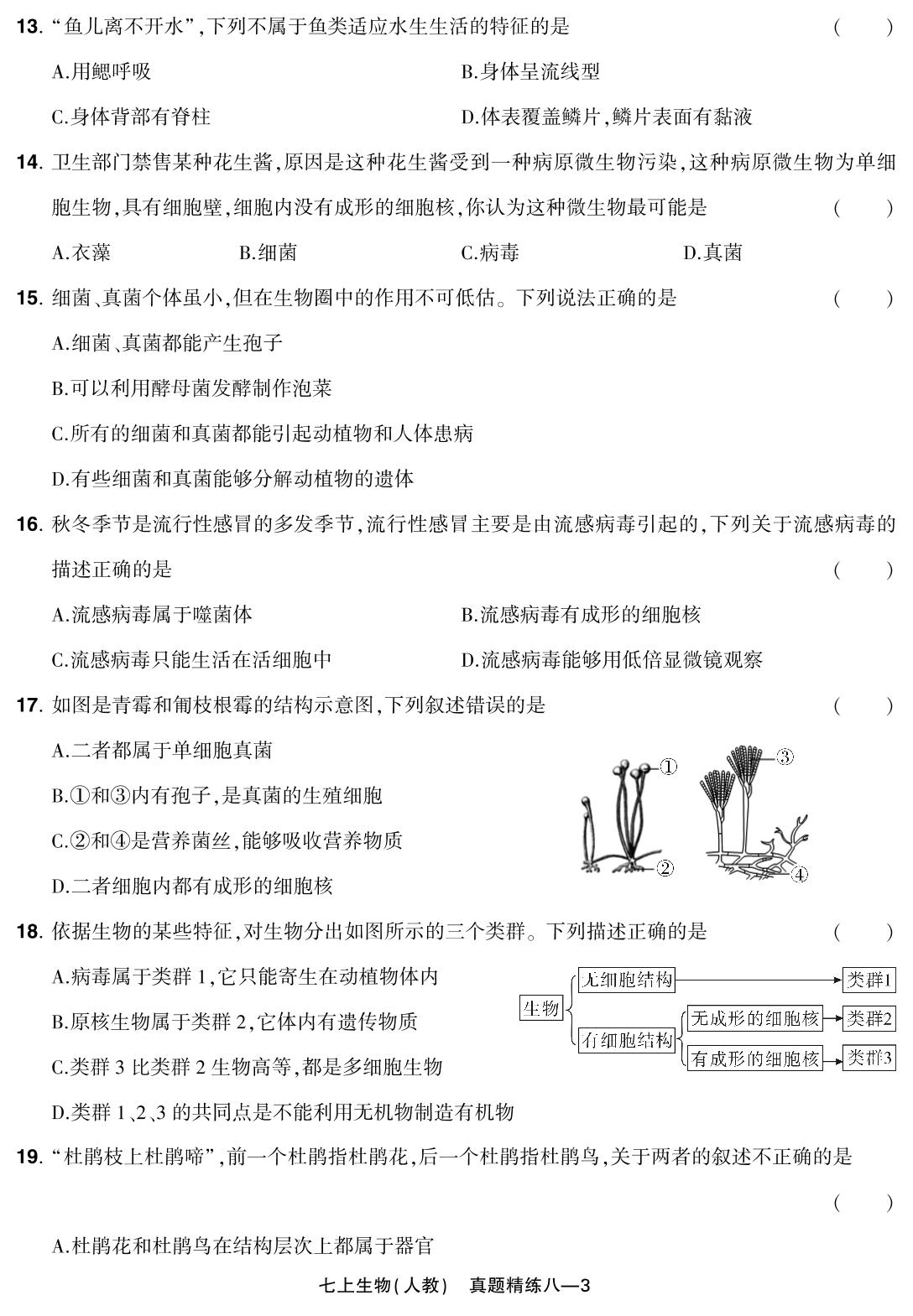 真题精练八 河南省开封市2023-2024学年上期期末试题(改编)-【红卷】2024-2025学年七年级上册生物学期末复习方案（人教版）