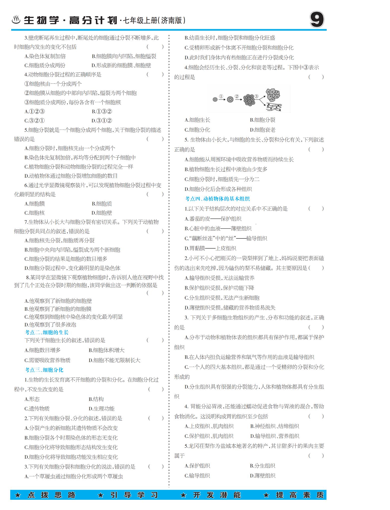 专题二 生物体具有一定的结构层次-【少年素质教育报】2025-2026学年七年级上册生物高分计划（济南版·新教材）